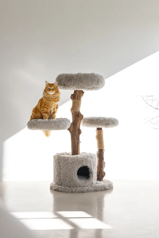 Designed by Lotte Kratzbaum Ziza H 100 cm 