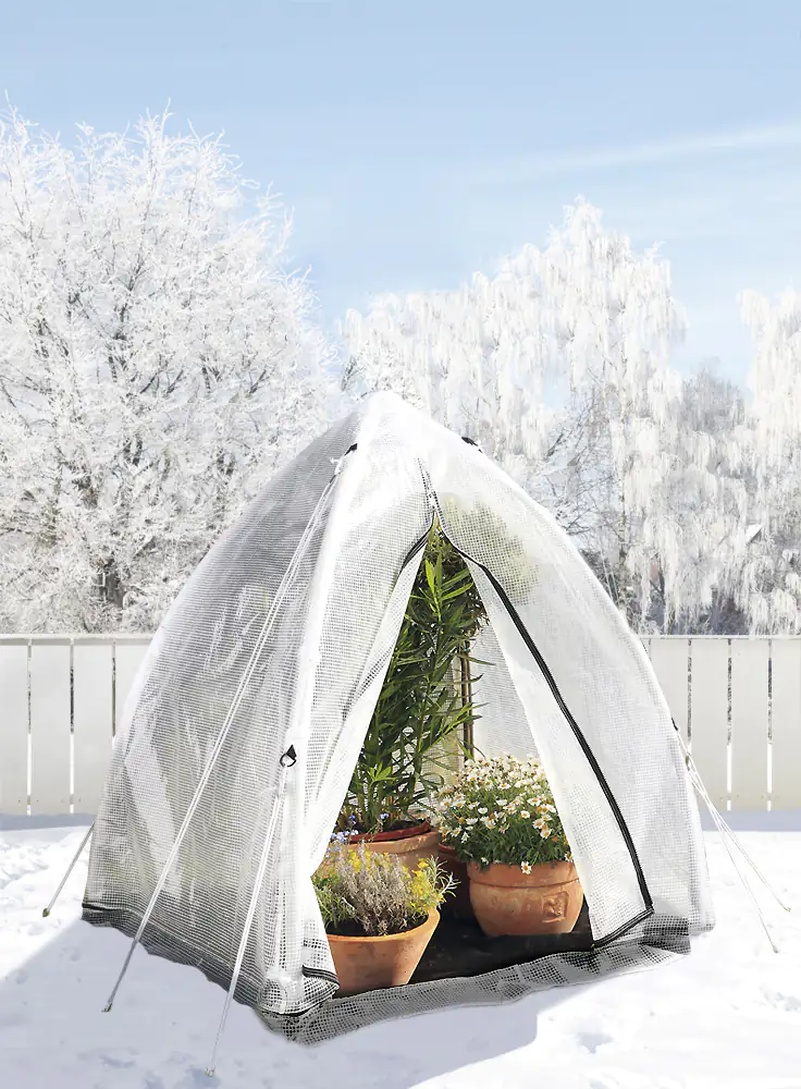 Bio Green Überwinterungszelt Tropical Island M 130 x 130 x 150 cm