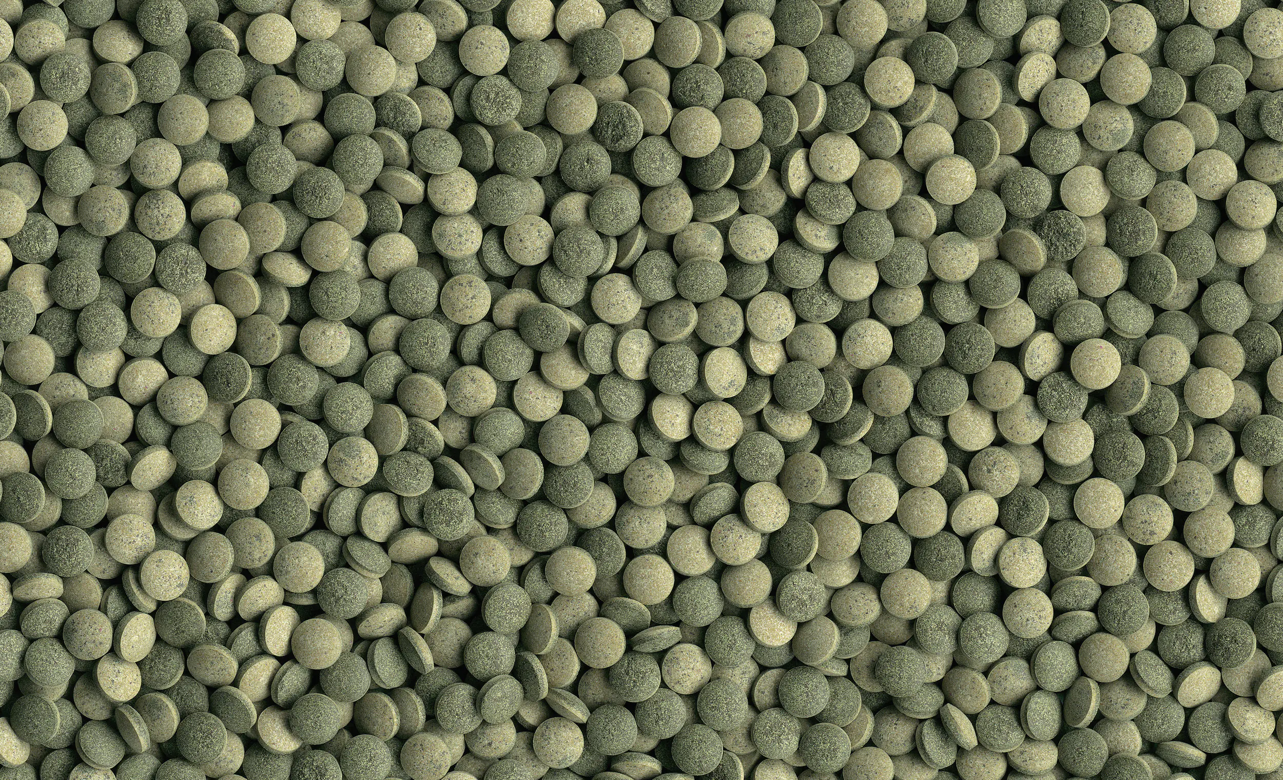 Tetra Pleco Tablets 120 120 Tabletten