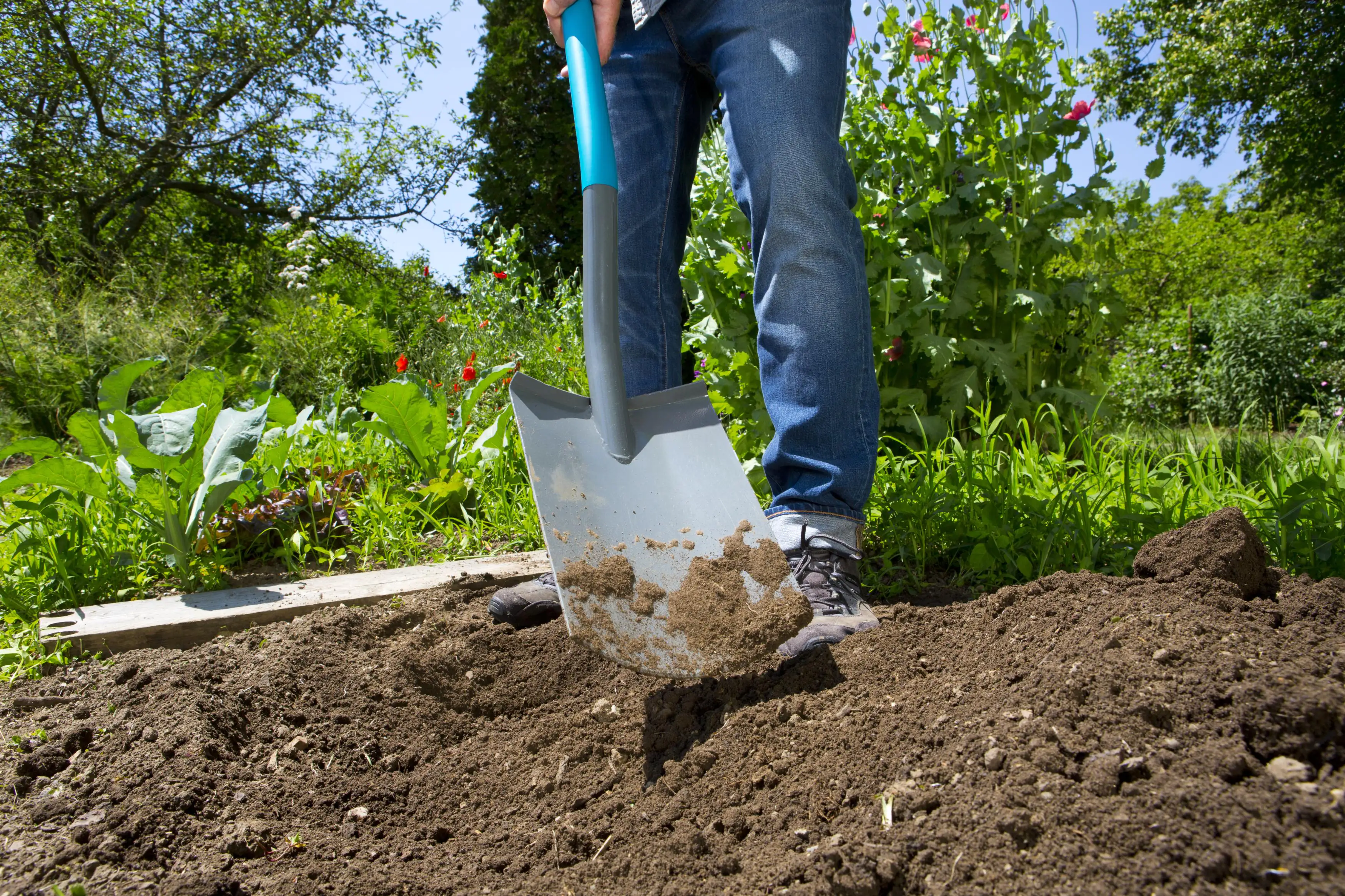 Gardena Spaten ClassicLine 29,7 x 19,3 cm