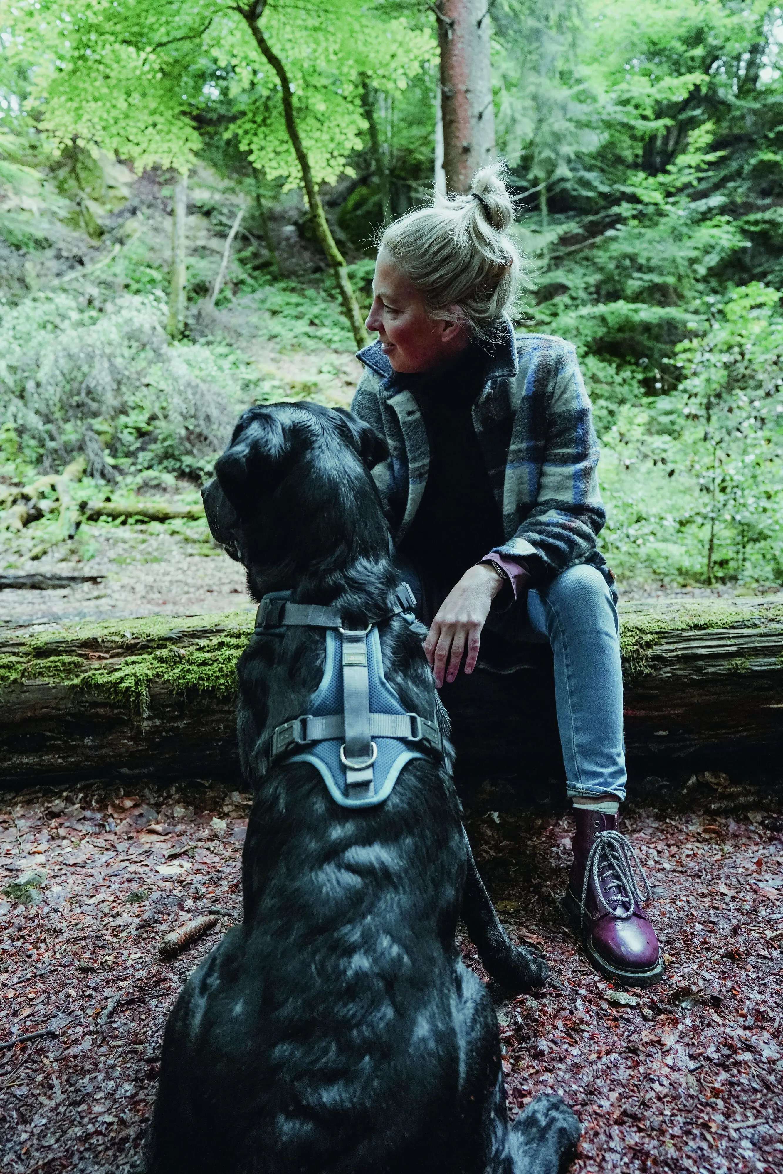 Hunter Hundegeschirr Maldon Up mit Griff S-M petrol/grau