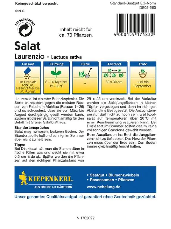 Kiepenkerl Profi-Line Salat Laurenzio Lactuca sativa var. capitata, Inhalt: ca. 70 Pflanzen Kiepenkerl Profi-Line Salat Laurenzio Lactuca sativa var. capitata, Inhalt: ca. 70 Pflanzen