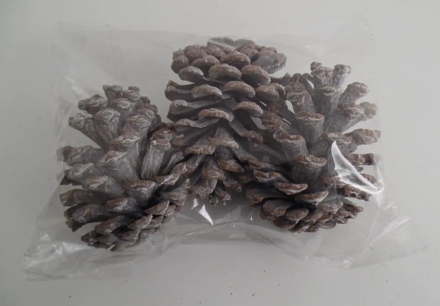 TrendLine Tannenzapfen 20 x 11 x 8 cm, weiß