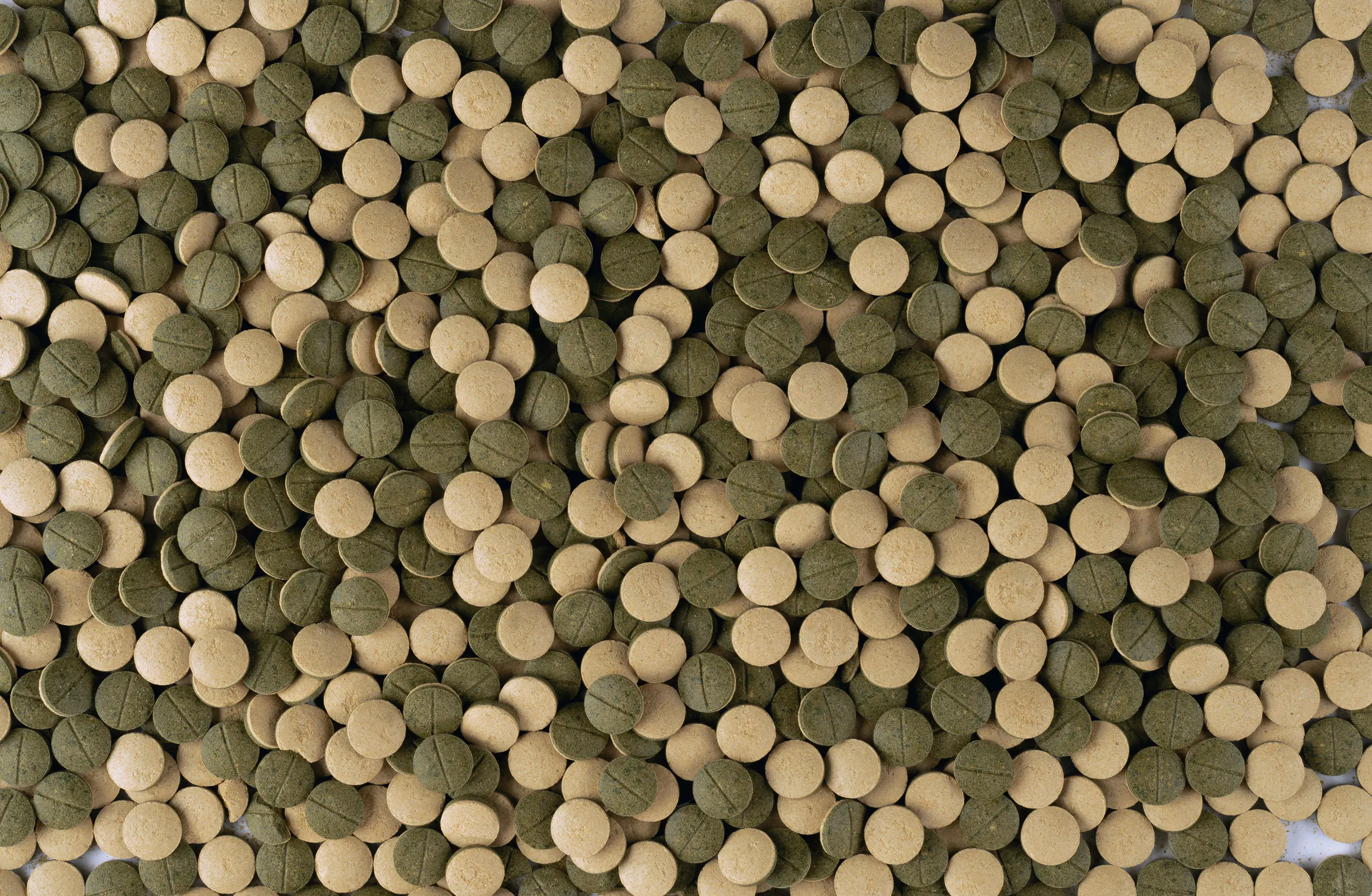 Tetra Pleco Tablets XL 133 133 Tabletten Tetra Pleco Tablets XL 133 133 Tabletten
