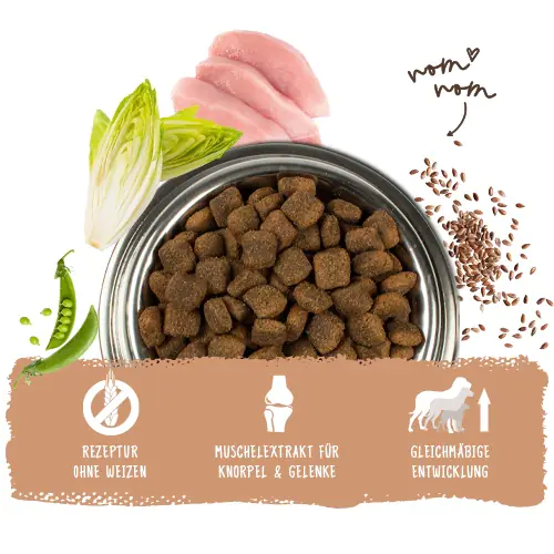 Bosch Trockenfutter für große Hunde Adult Maxi 15 kg Bosch Trockenfutter für große Hunde Adult Maxi 15 kg