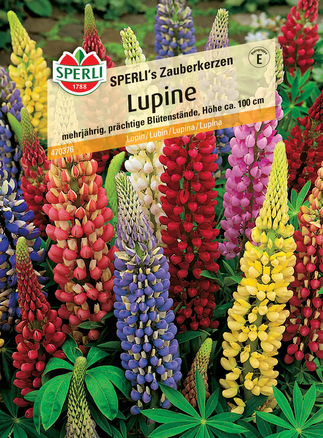 Sperli Lupine SPERLI's Zauberkerzen