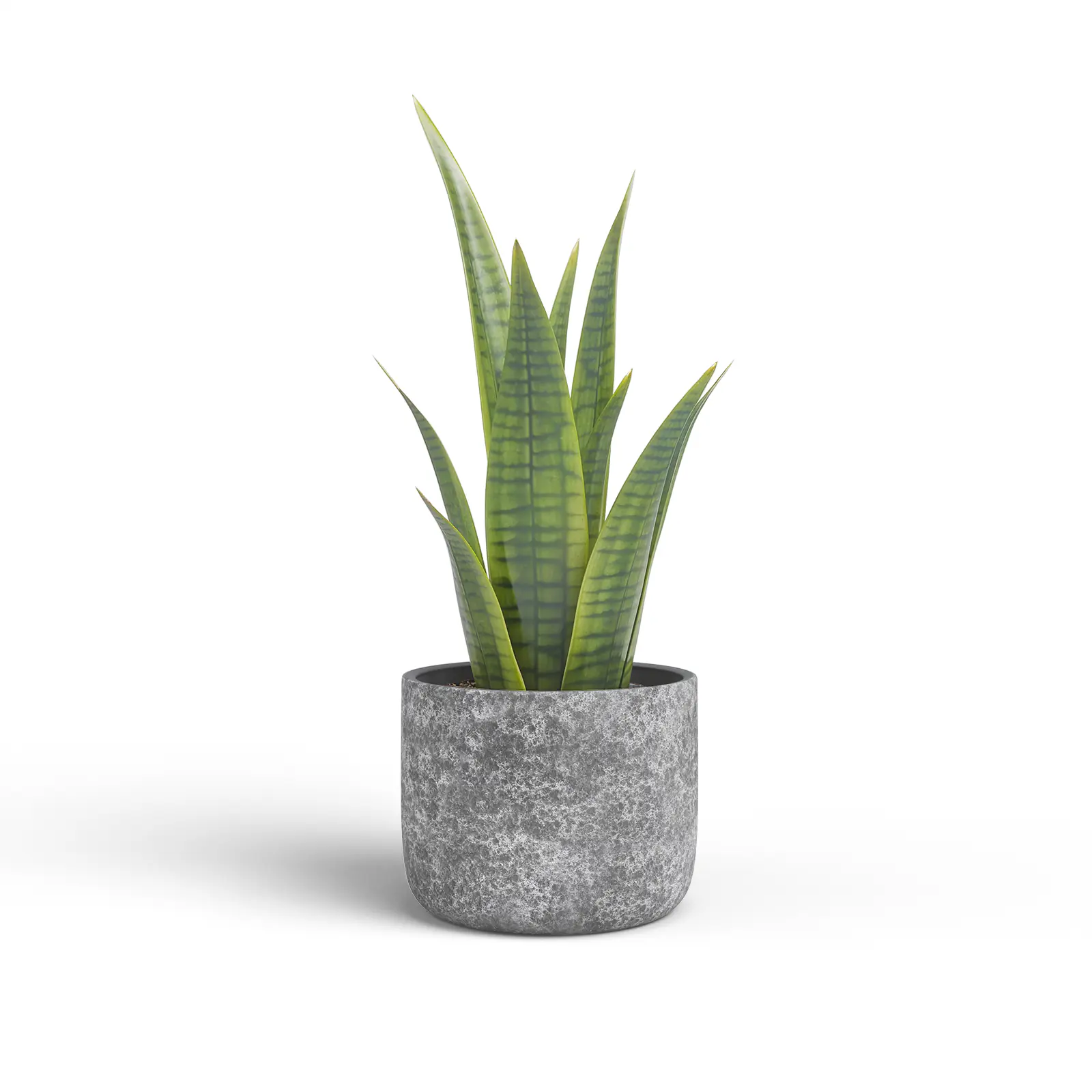Artevasi Übertopf Cassia Keramik Ø 29 x 27 cm anthrazit