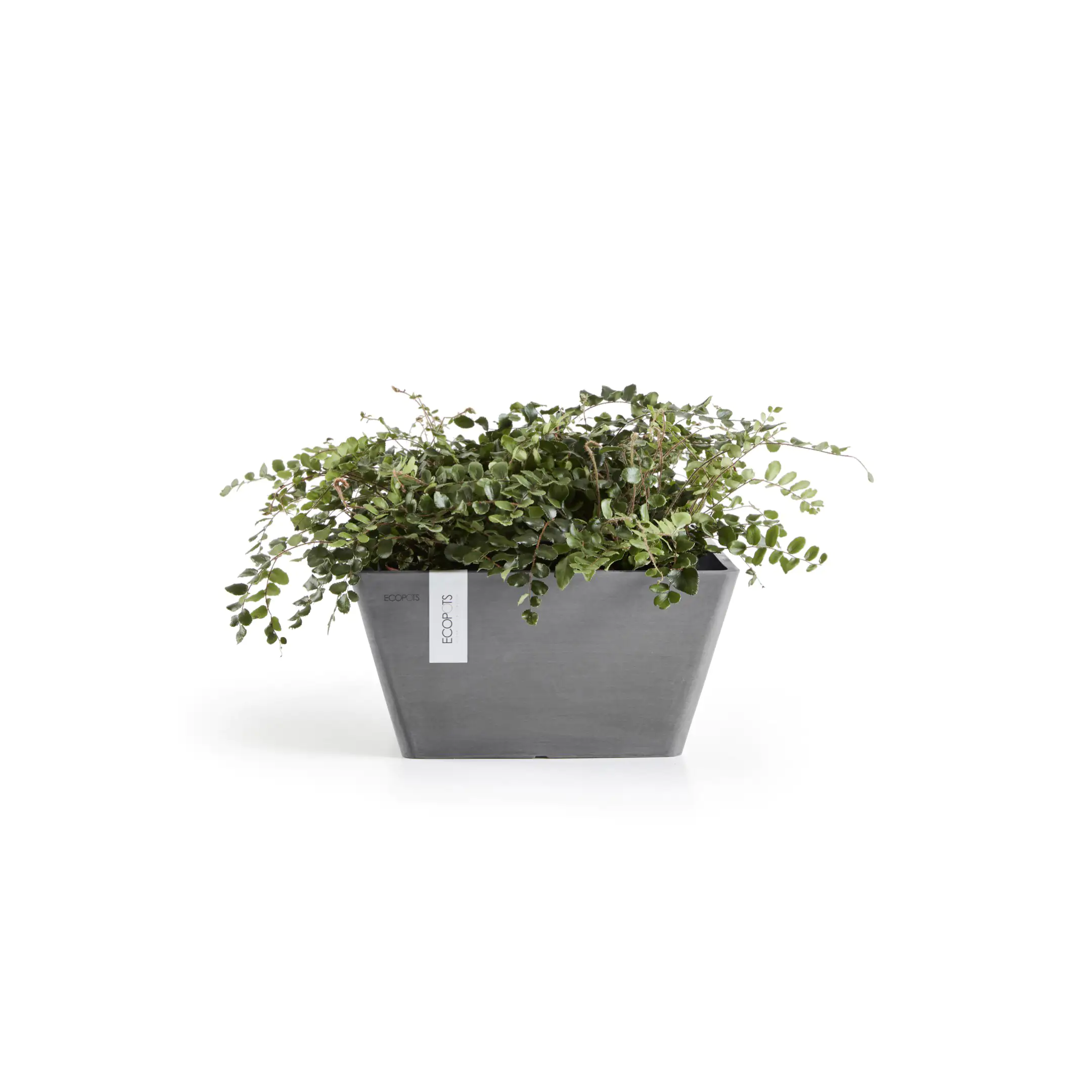 Ecopots Pflanztopf Berlin 25 x 25 x 12,8 cm grau Ecopots Pflanztopf Berlin 25 x 25 x 12,8 cm grau