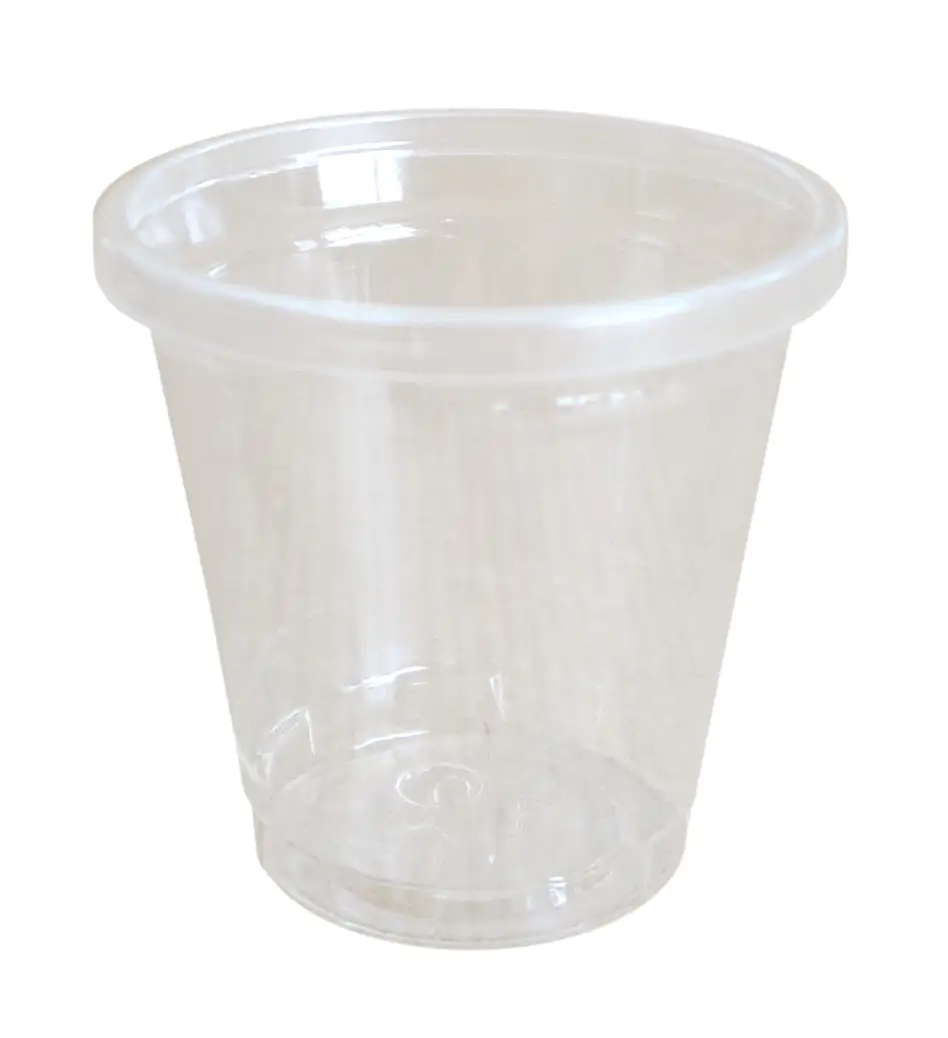 4014995248183 Braun & Company Schnapsbecher 30 ml By nature weiß - 30 Stk.