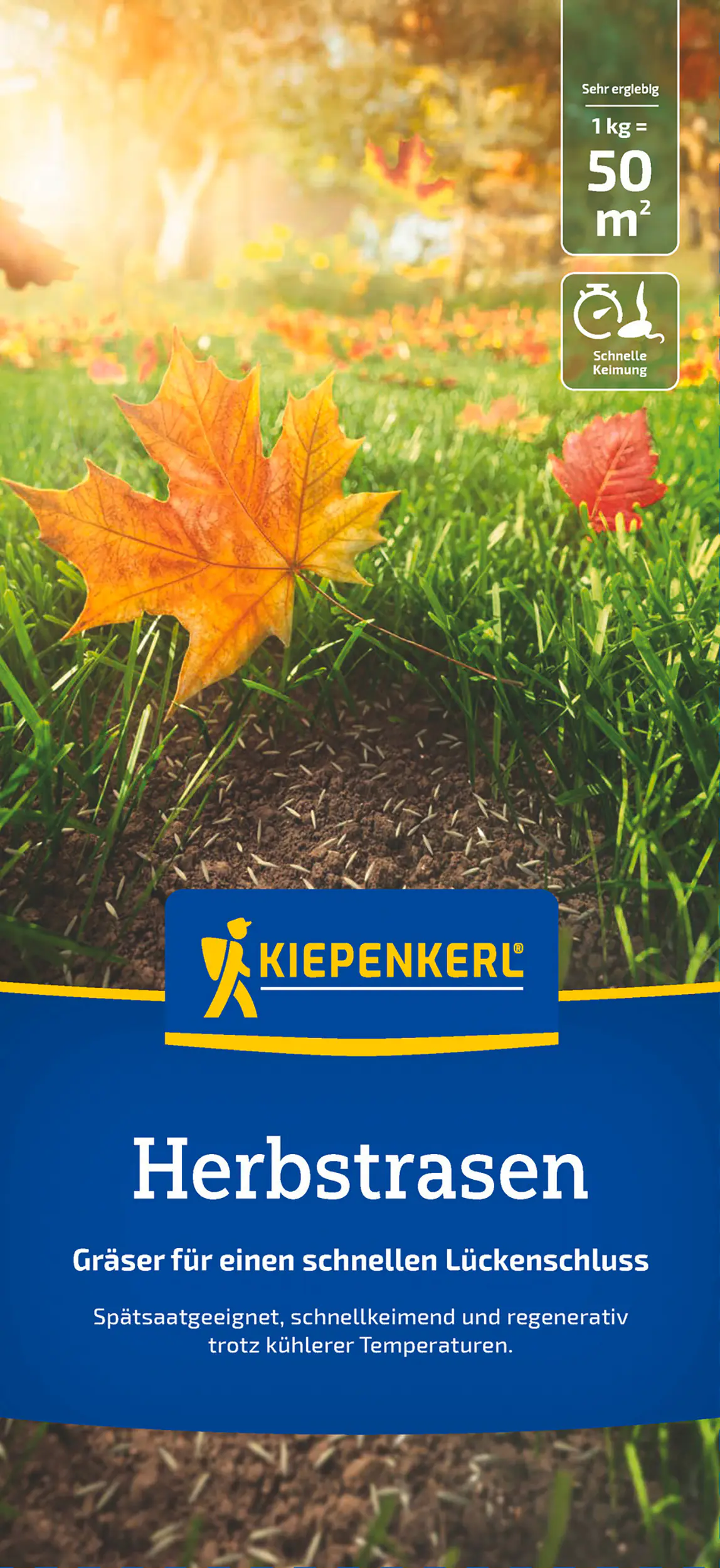 Kiepenkerl Saatgut Kiepenkerl Herbstrasen 1 kg für ca. 50 m²