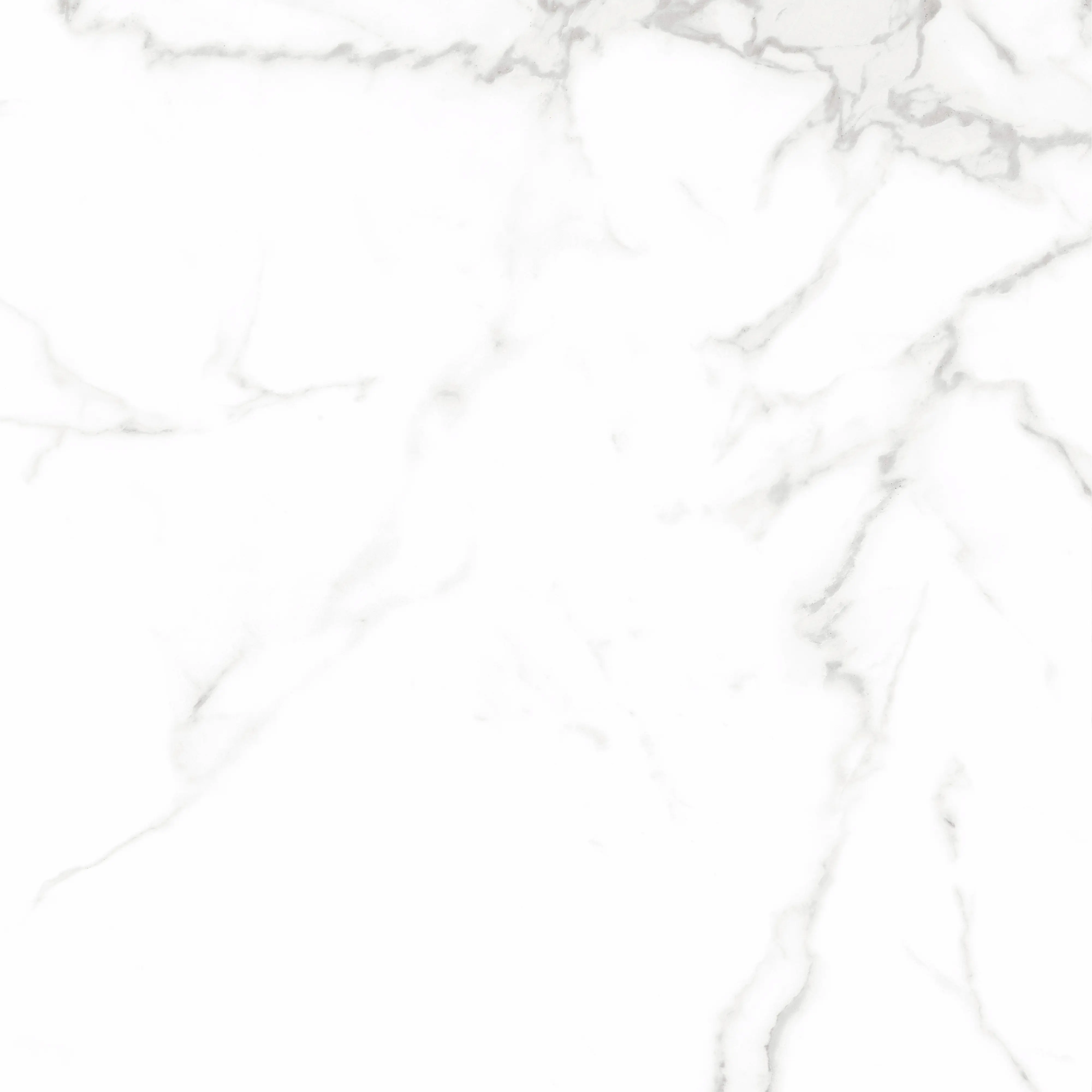 Bodenfliese Feinsteinzeug Alcora 60 x 60 cm weiß/grau