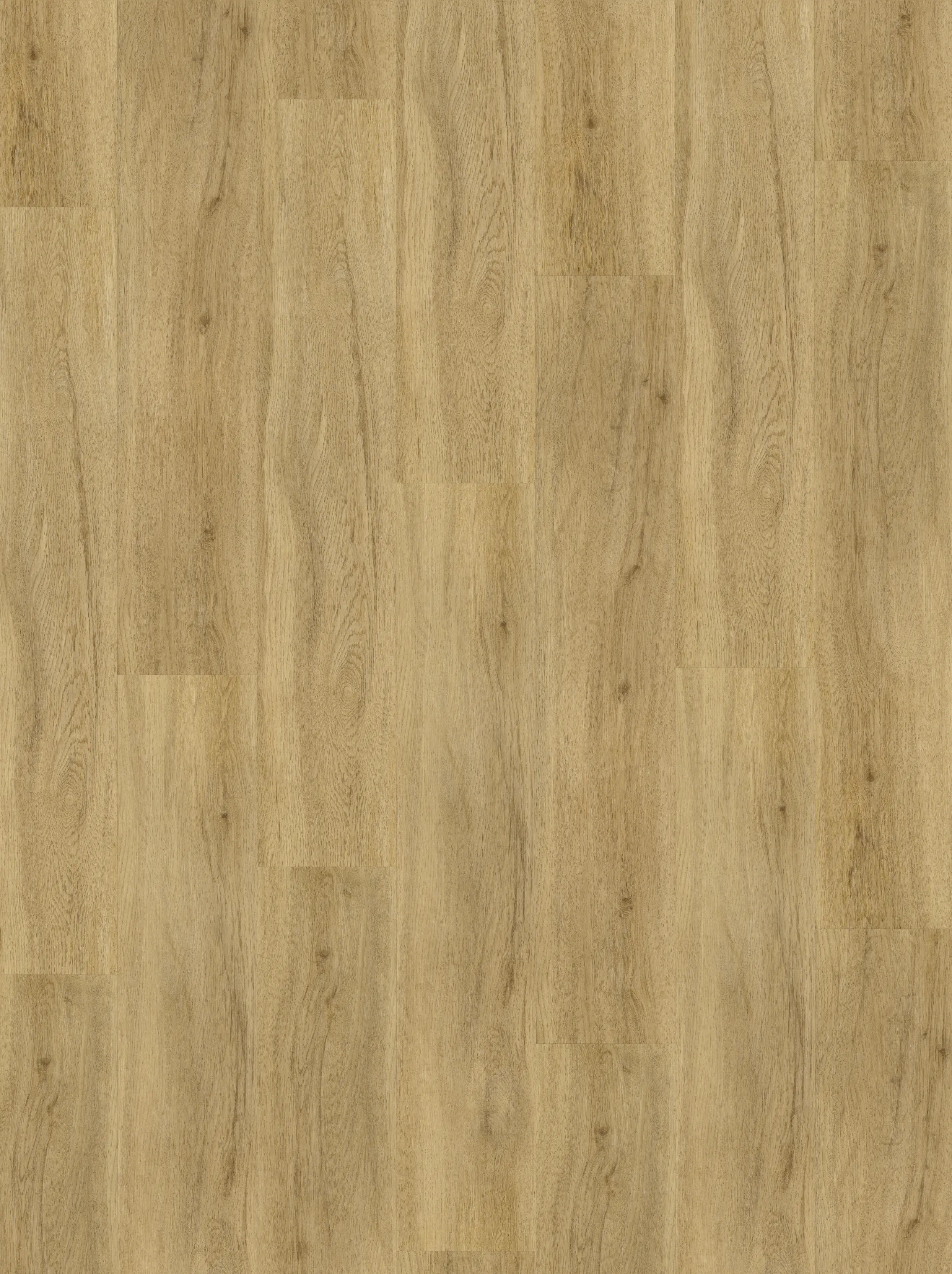 Parador Vinylboden mit Trillschalldämmung Basic 30 Eiche Calista Parador Vinylboden mit Trillschalldämmung Basic 30 Eiche Calista