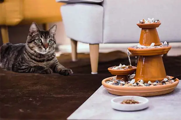 Getigerte Katze liegt vor einem braunen Keramik-Katzenbrunnen mit fließendem Wasser und Steinen, daneben steht ein Futternapf.