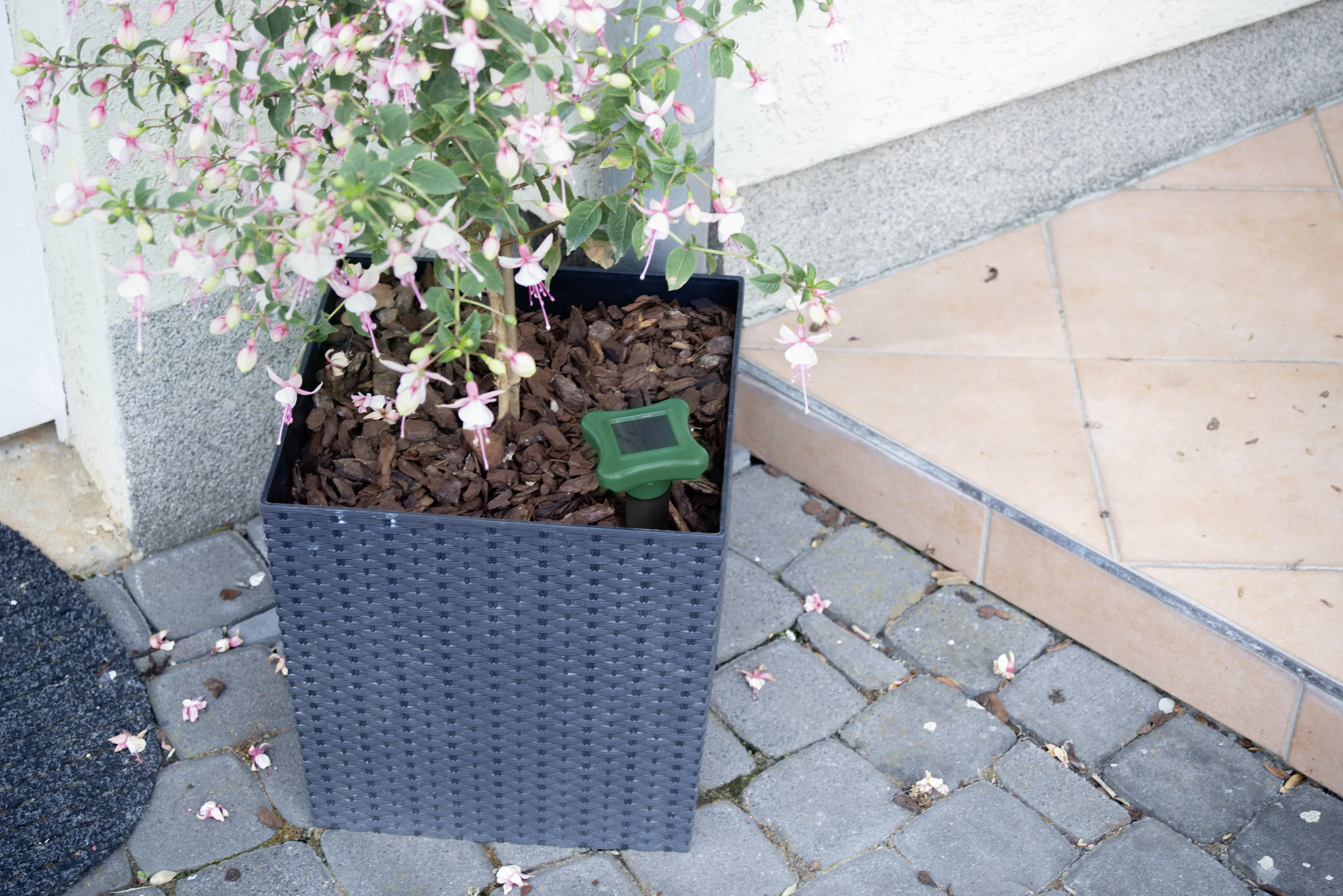 Gardigo Solar Ameisen Abwehr-