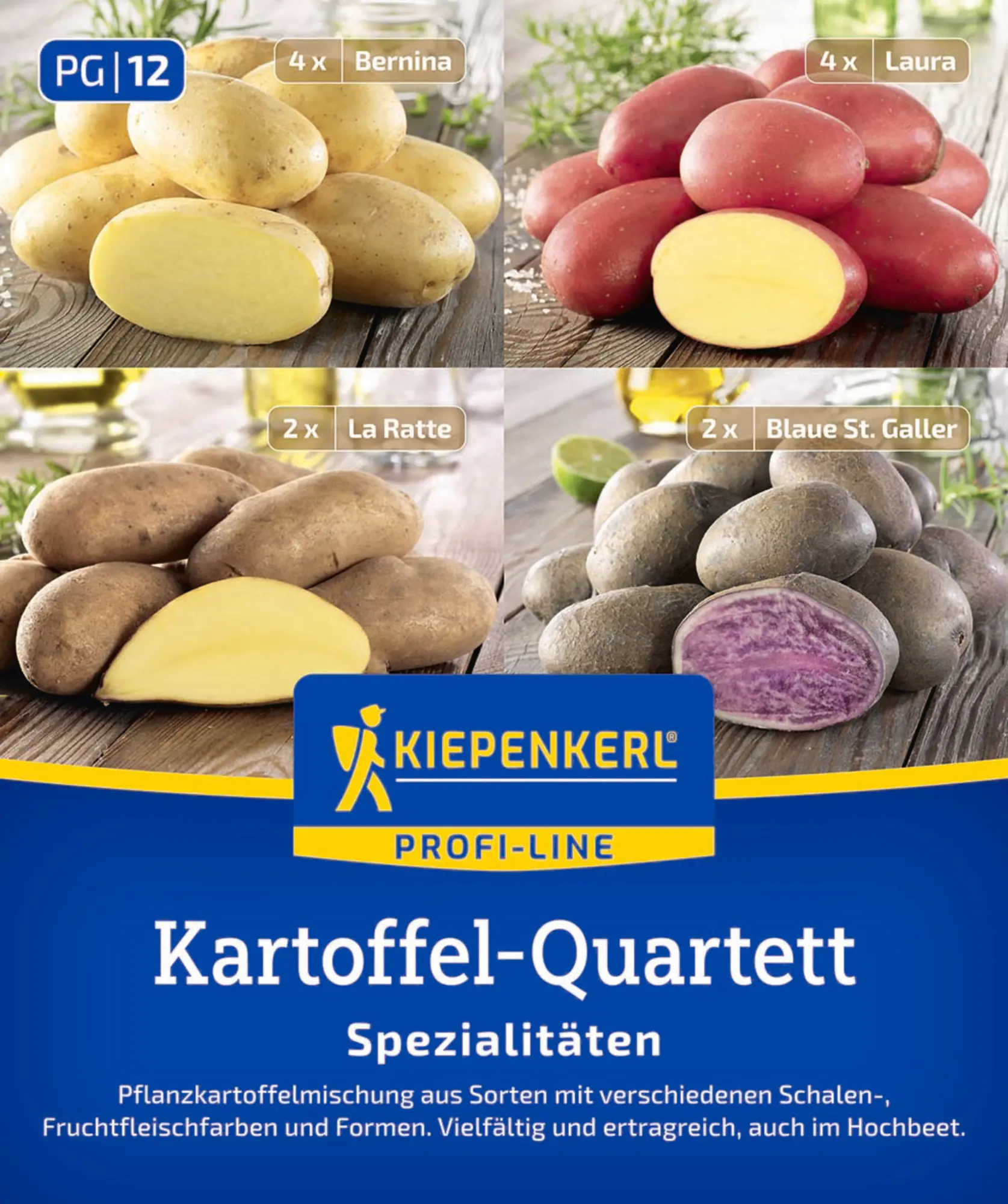Kiepenkerl Pflanzkartoffel Quartett Mischungstüte Spezialitäten 12 Stück