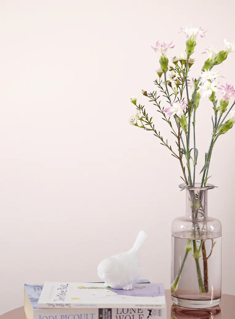 Alpina Feine Farben Wandfarbe No. 24 Zarte Romantik - sanftes pastellrosé 2,5 L