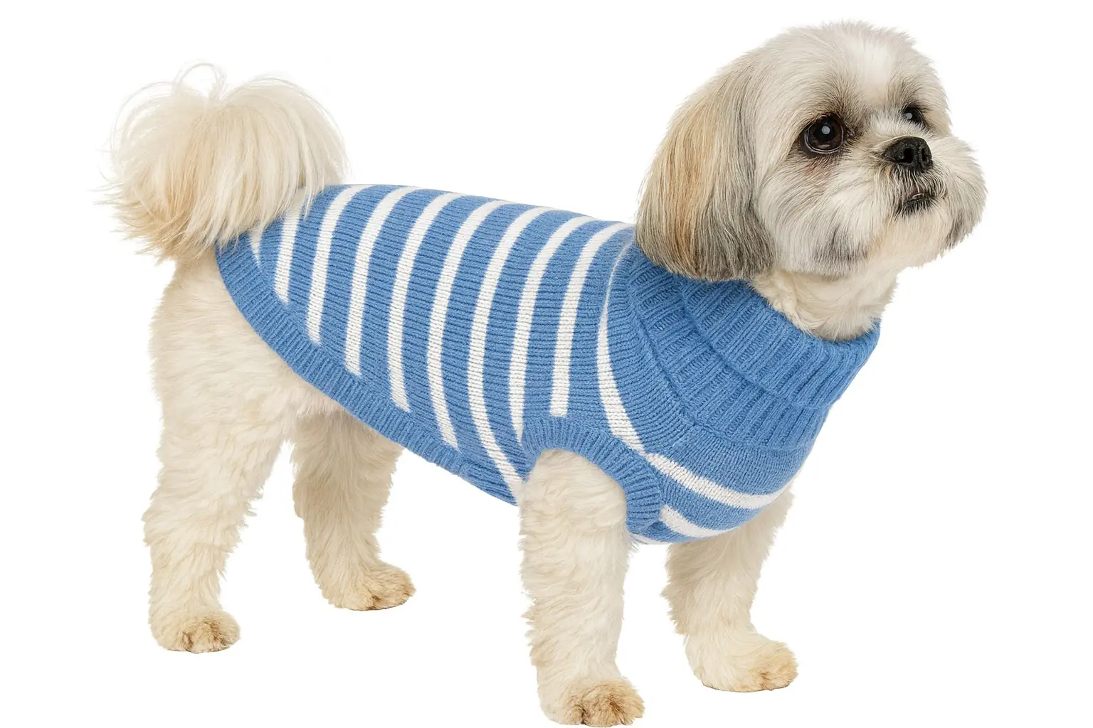 Nobby Hundepullover Pasma Rückenlänge 20 cm, blau