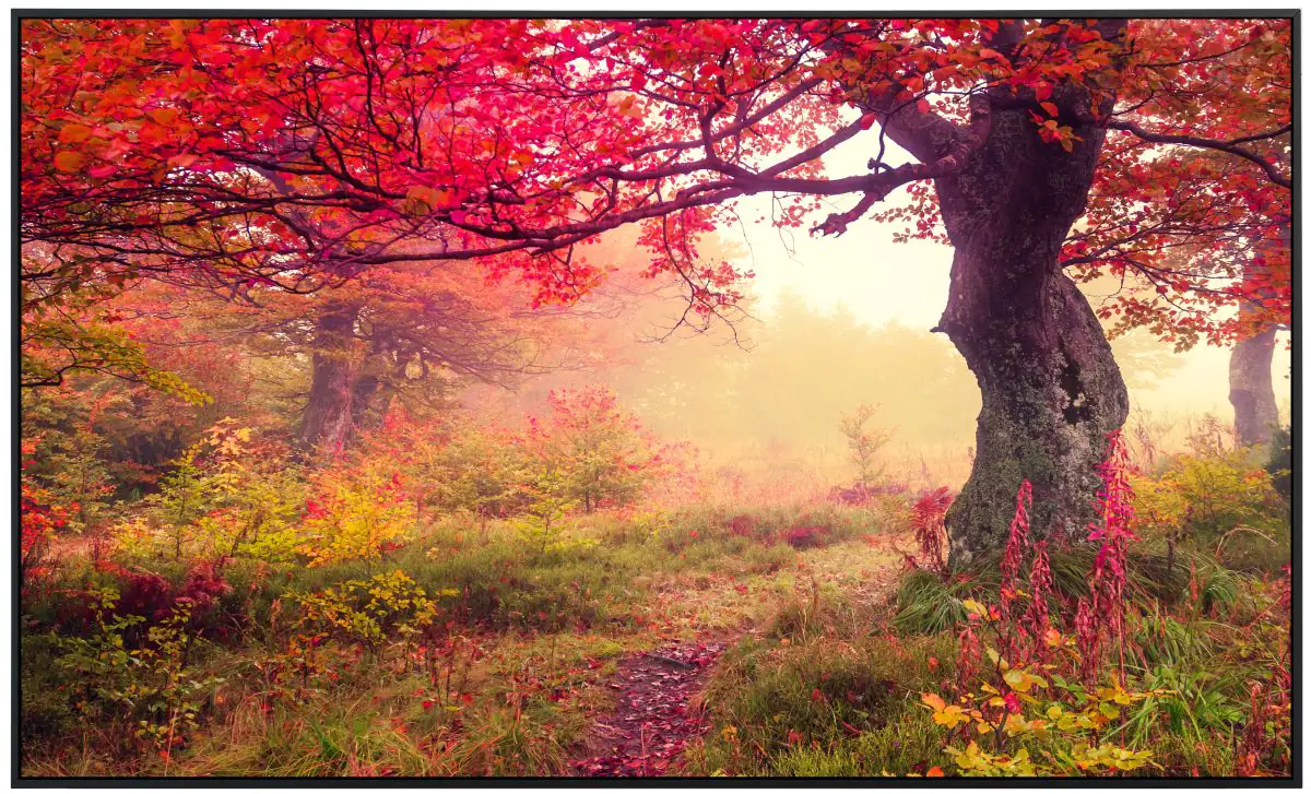 papermoon Infrarotheizkörper EcoHeat 60x120 cm 1000 Watt, Herbstwald