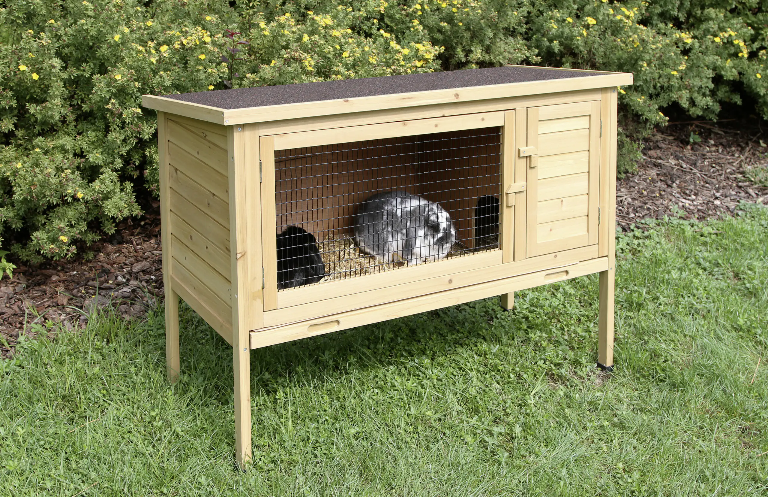 Kerbl Kleintierstall Buddy LxBxH:116x52x82 cm