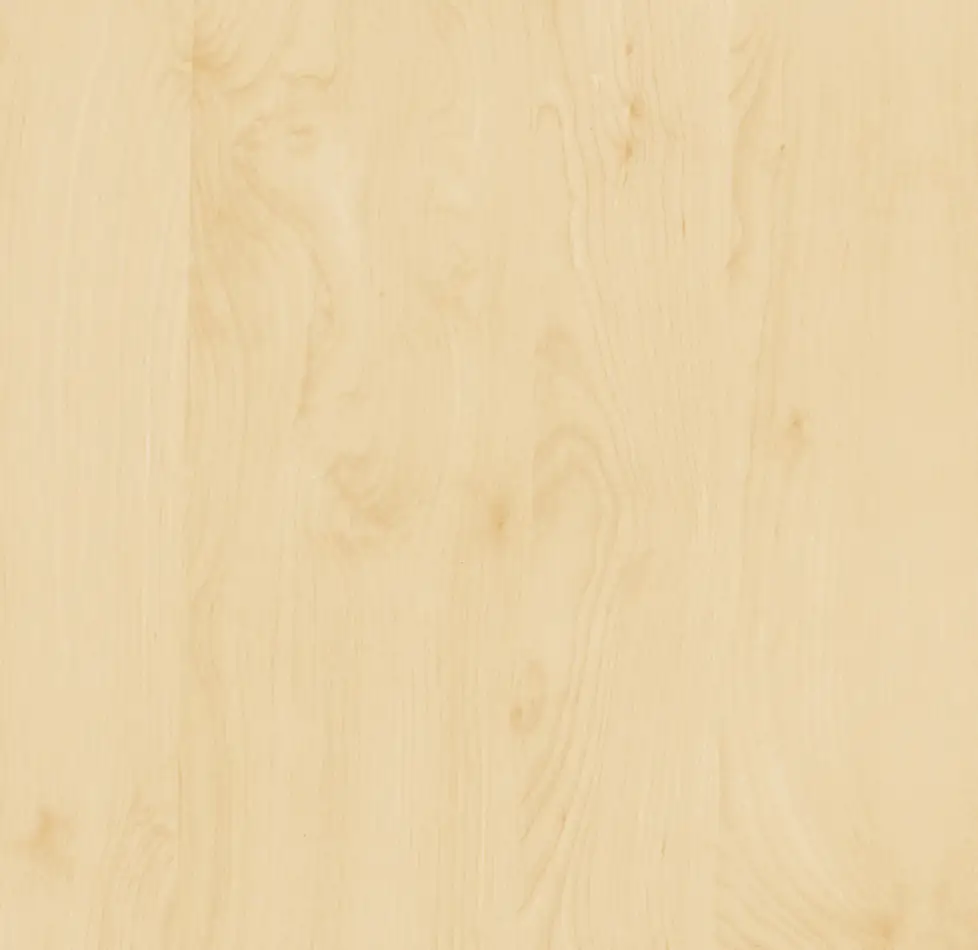 d-c-fix Selbstklebefolie Birke 45 cm x 2 m