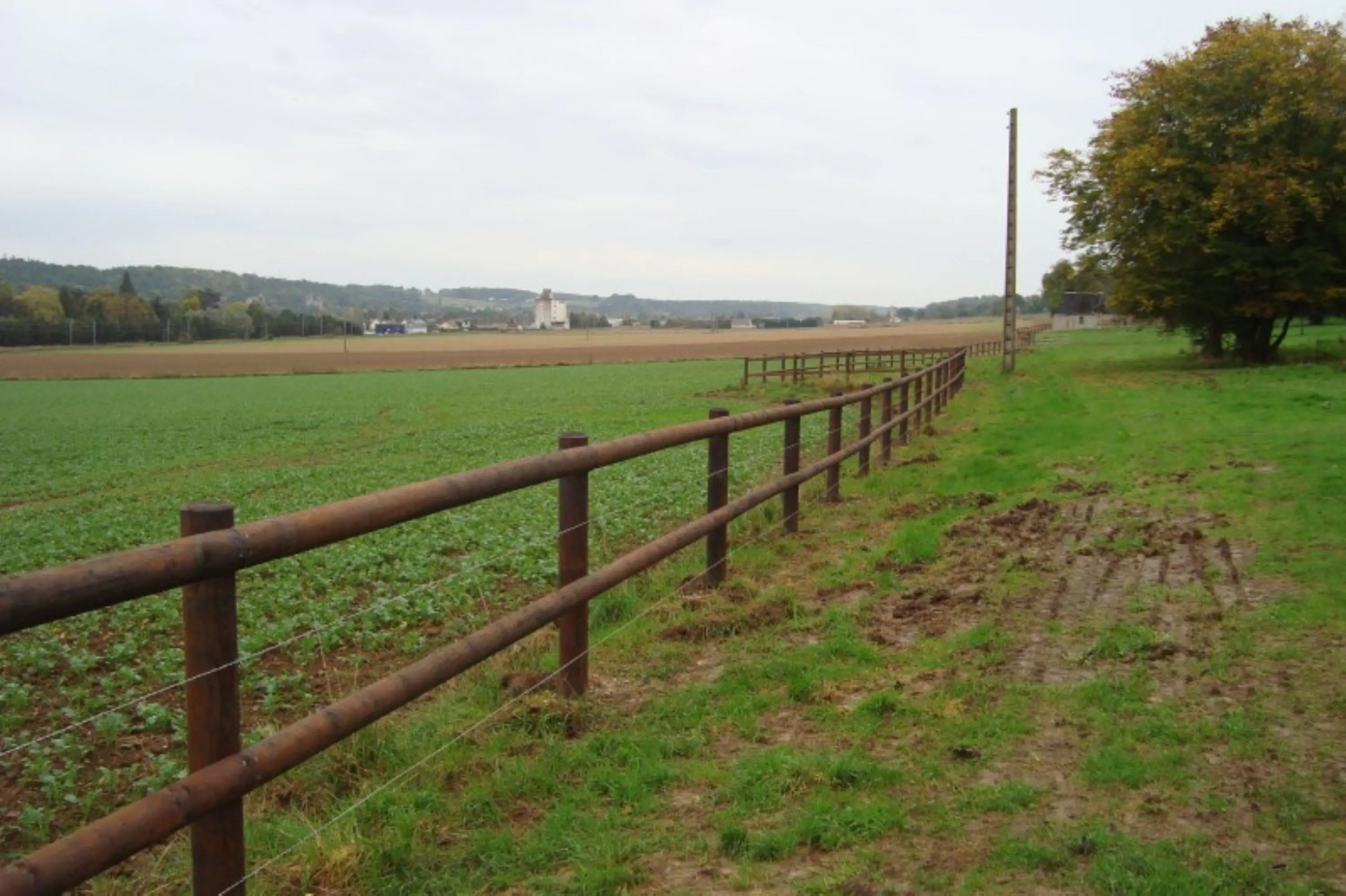 Rundpfahl Koppelzaun 2-reihig Höhe 148-160 cm 120 lfm