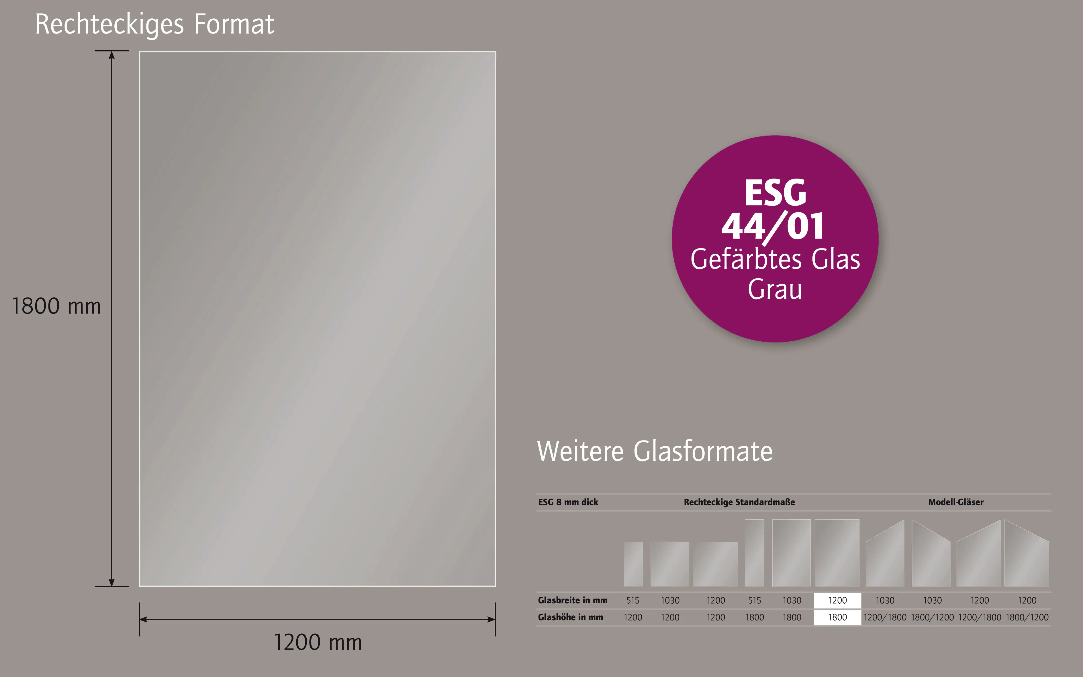 Ambiente Glaszaun B x H: 120 cm x 180 cm, gehärtetes 8 mm Glas Ambiente Glaszaun B x H: 120 cm x 180 cm, gehärtetes 8 mm Glas