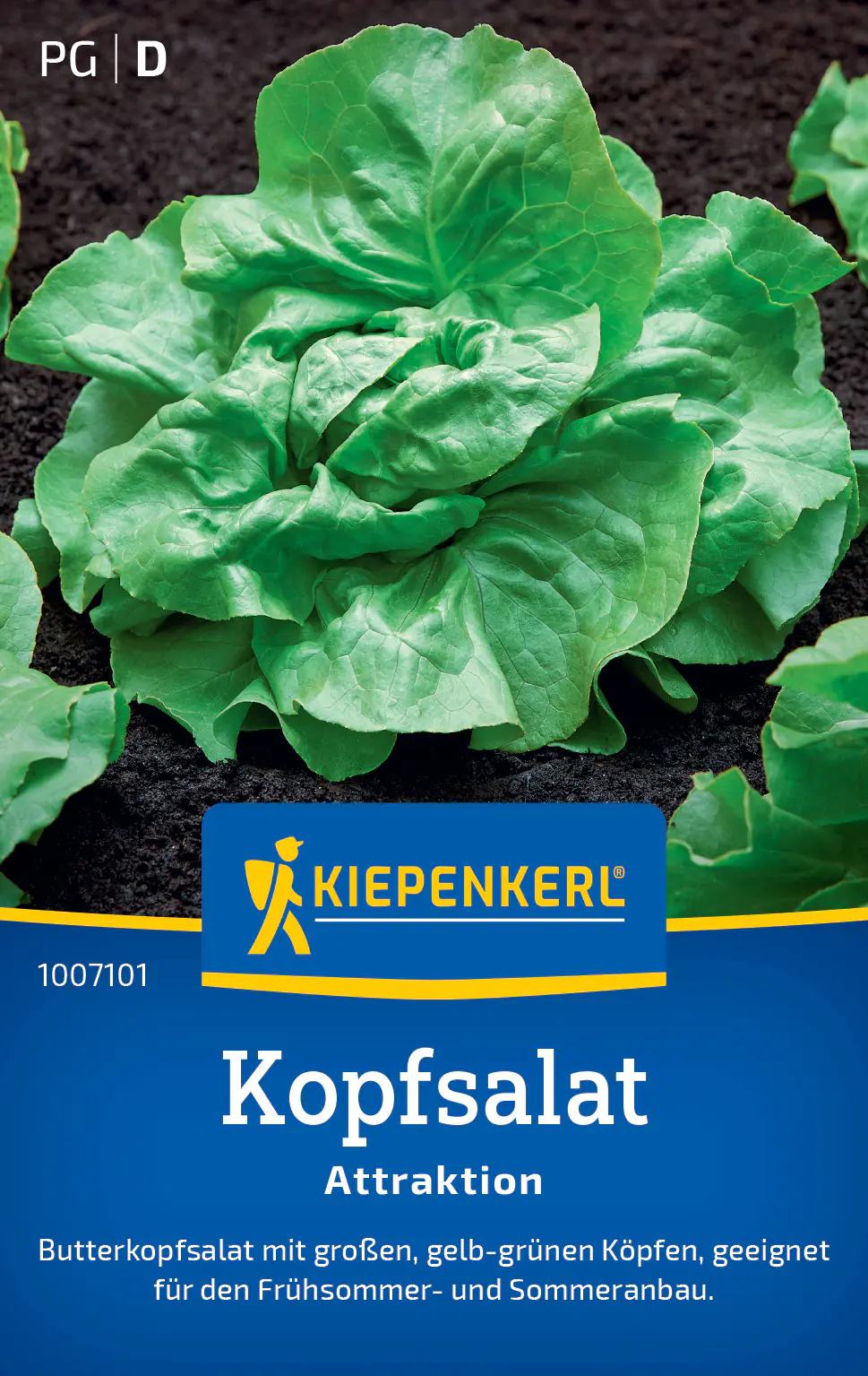 Kiepenkerl Saatgut Kopfsalat Attraktion für ca. 300 Pflanzen