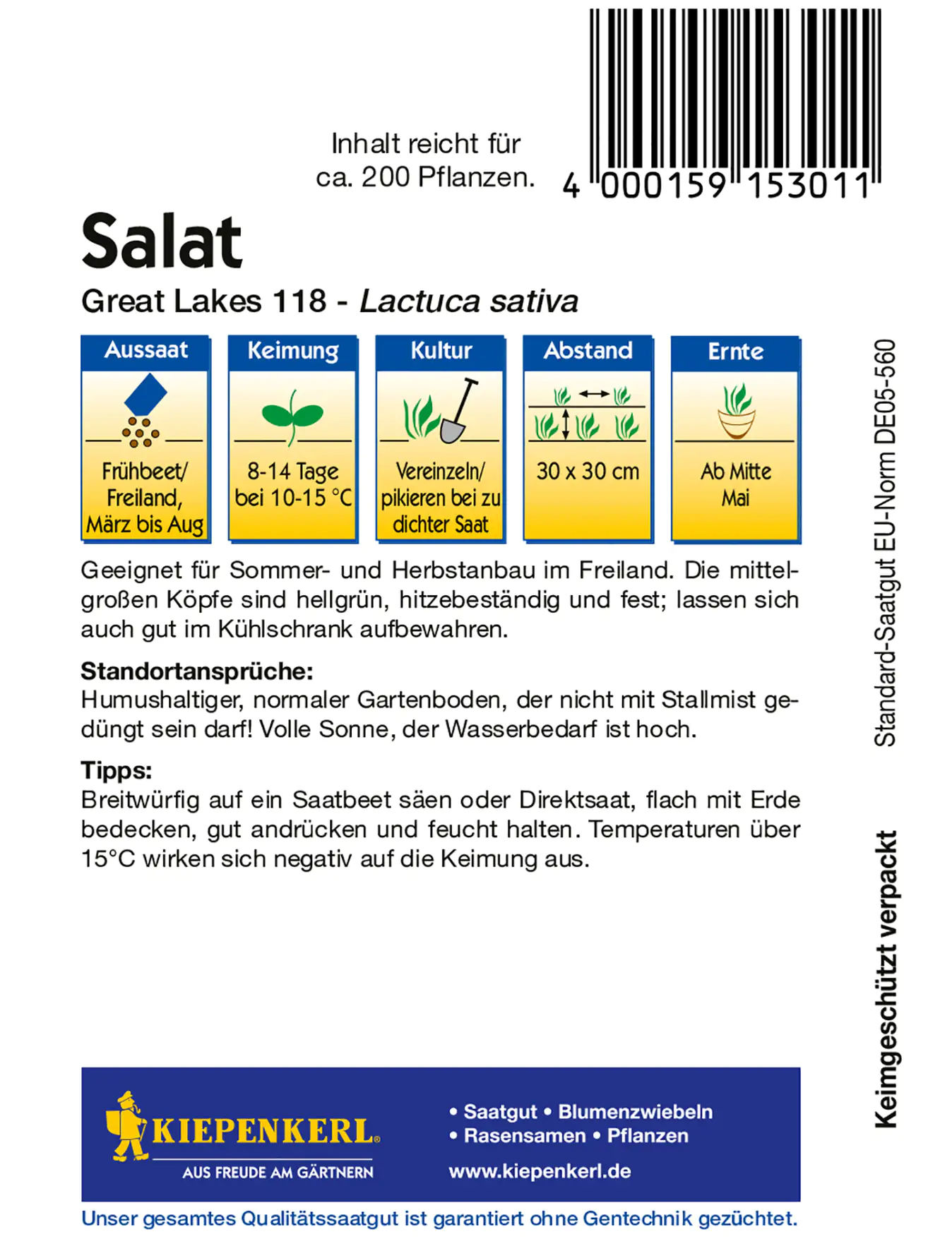 Kiepenkerl Eissalat Great Lakes 118