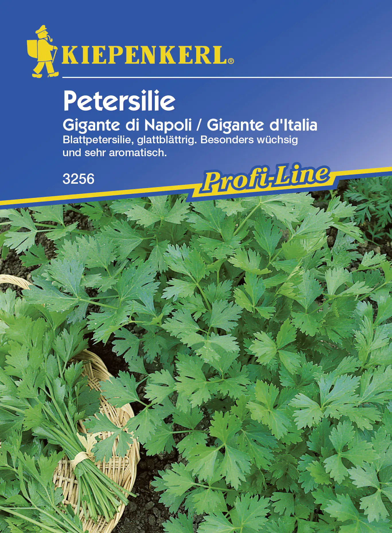 Kiepenkerl Petersilie Gigante d'Italia Petroselinum crispum var. crispum, Inhalt: ca. 400 Pflanzen Kiepenkerl Petersilie Gigante d'Italia Petroselinum crispum var. crispum, Inhalt: ca. 400 Pflanzen