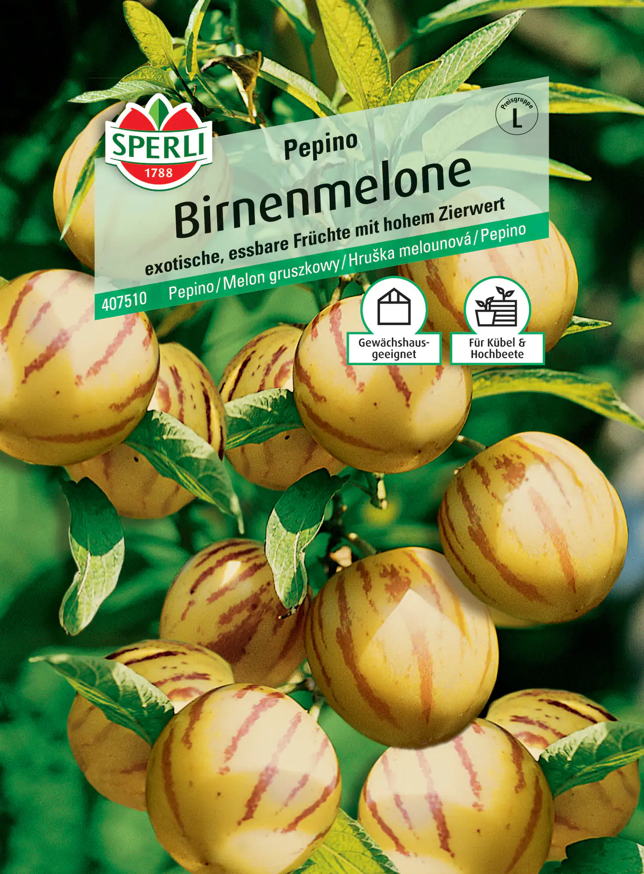Sperli Birnenmelone Pepino Sperli Birnenmelone Pepino