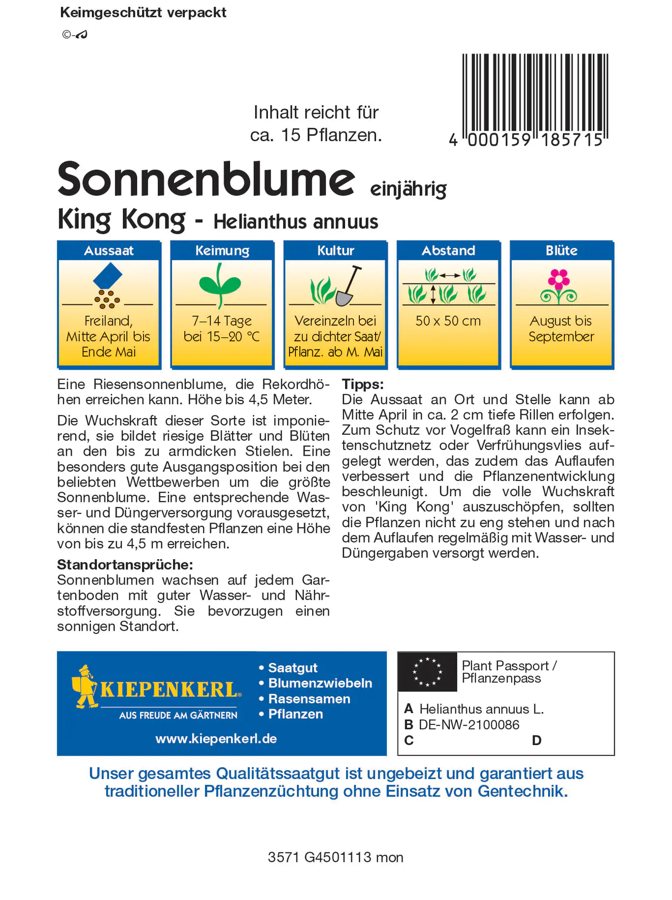 Kiepenkerl Sonnenblume King Kong