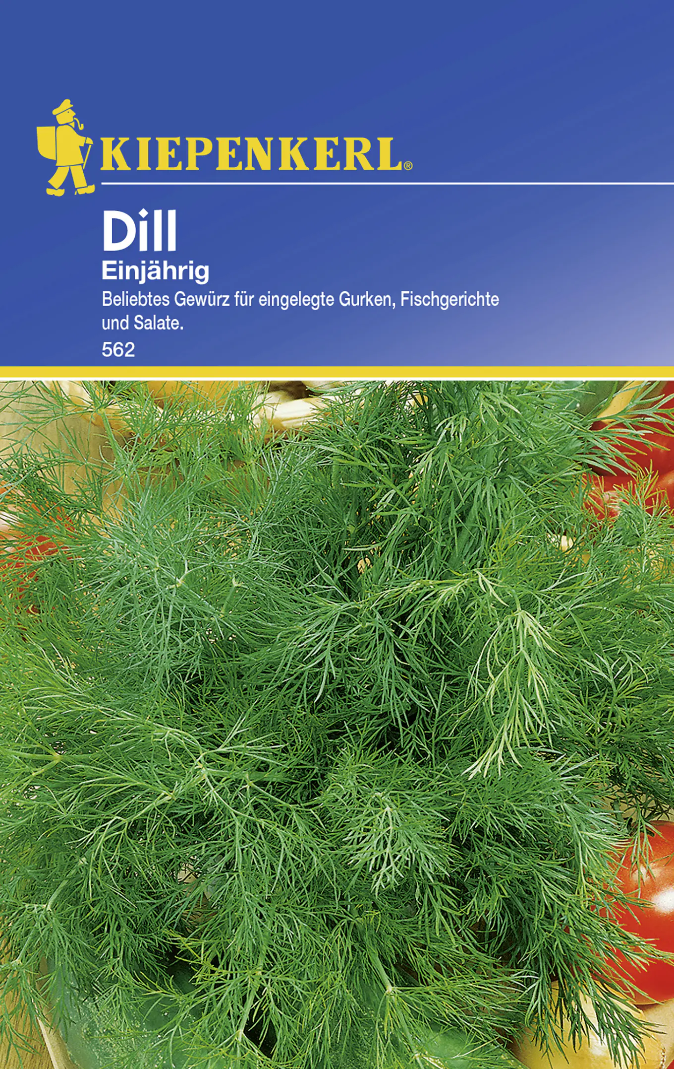 Kiepenkerl Dill Dill einjährig Anethum graveolens var. hortorum, Inhalt: ca. 200 Pflanzen