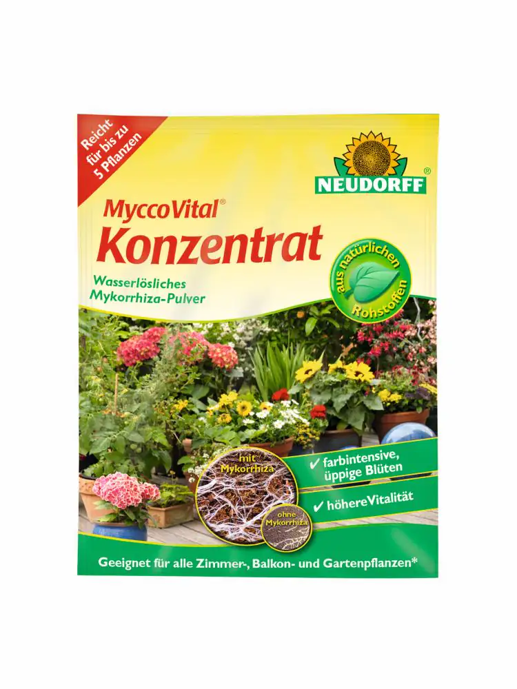 MyccoVital Konzentrat 1g MyccoVital Konzentrat 1g