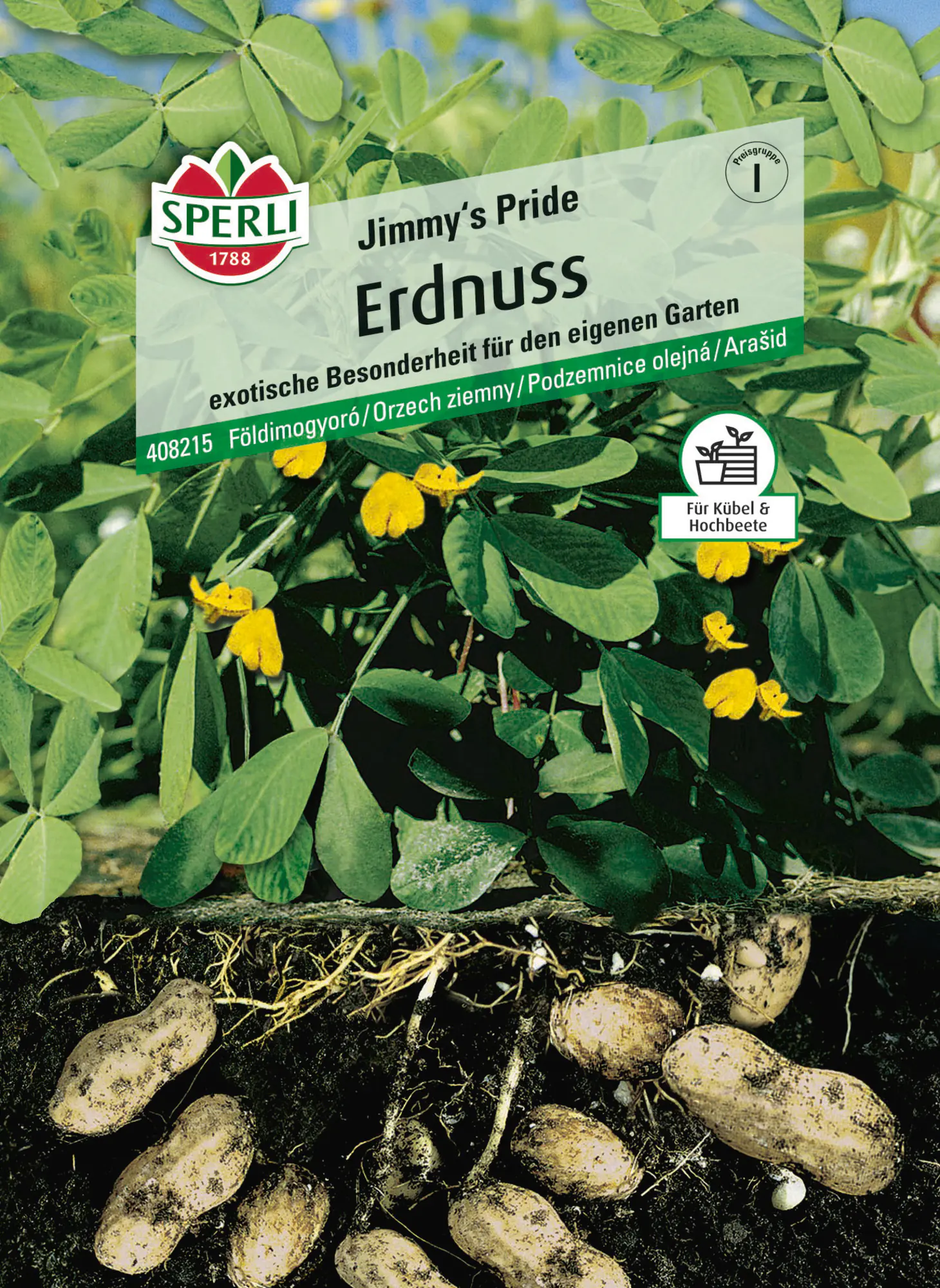 Sperli Saatgut Erdnuss Jimmy's Pride für ca. 5 Pflanzen