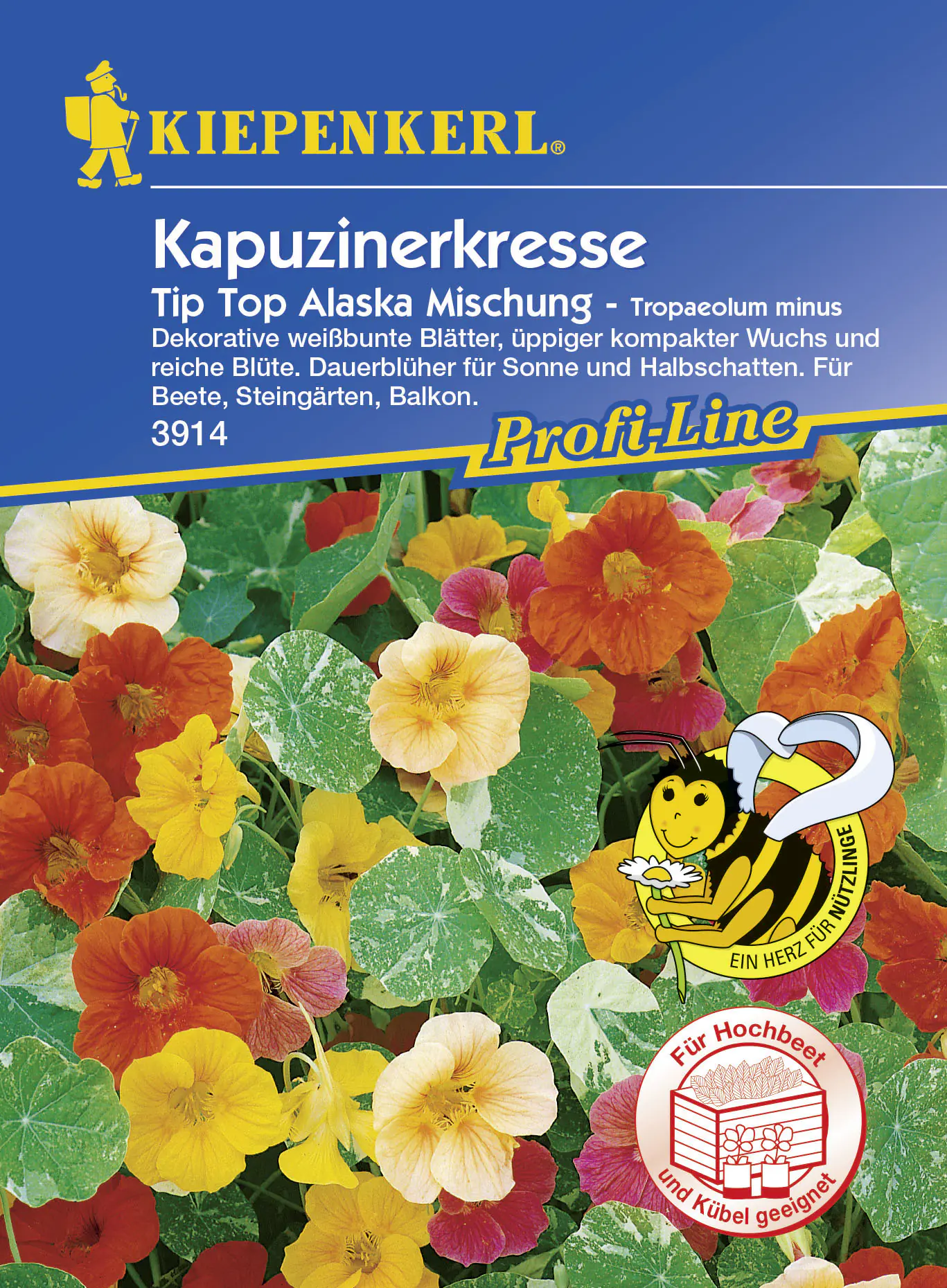 Kiepenkerl Kapuzinerkresse Tip-Top Alaska Tropaeolum minus, Inhalt: ca. 25 Pflanzen