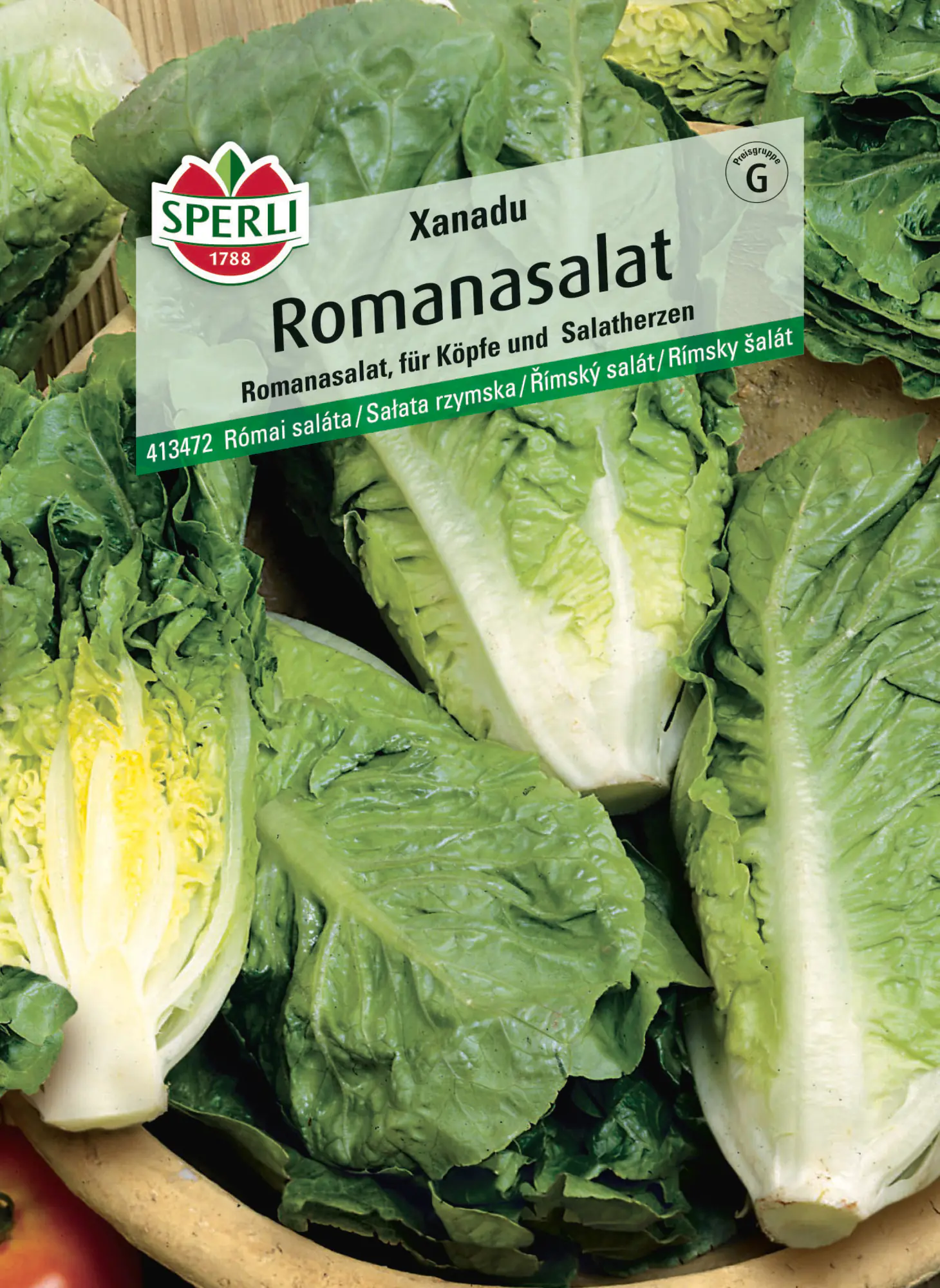 Sperli Saatgut Romanasalat Xanadu für ca. 50 Pflanzen