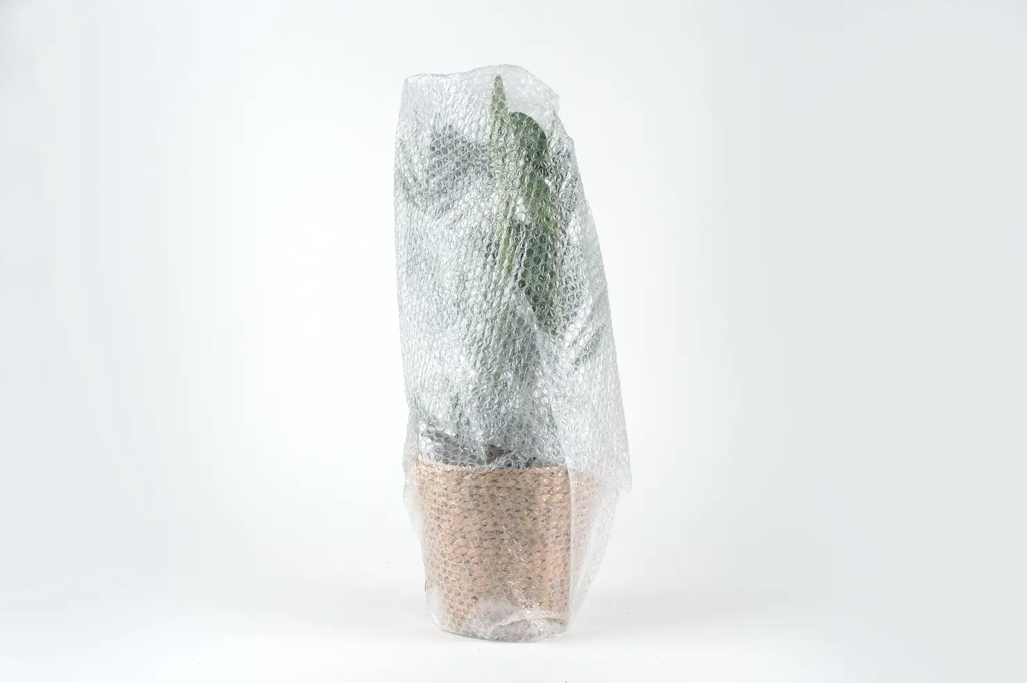 Nespoli Luftpolsterfolie 0,5 x 5 m