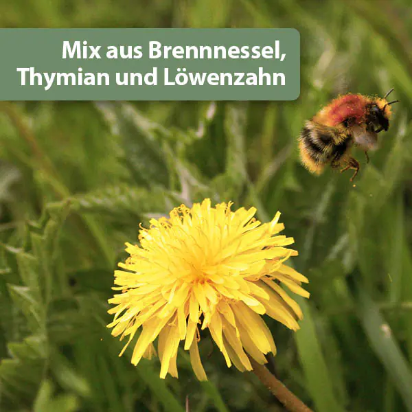 Quiko Hobbyfarming Vital Kräutermix für Hühner und Geflügel 180 g