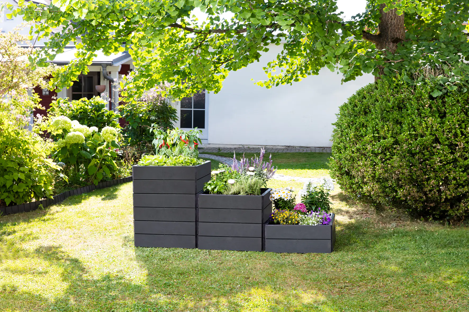 Garantia Hochbeet Ergo Quadro S 60 x 60 x 25 cm (L x B x H)