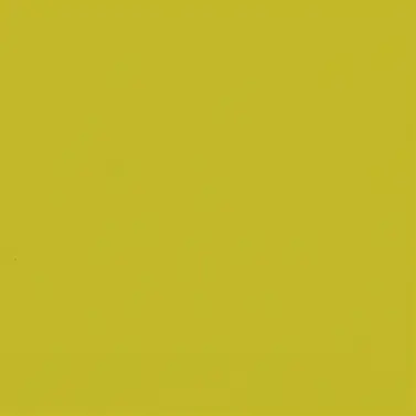 Duni Servietten Bio kiwi 33 x 33 cm - 50er Pack