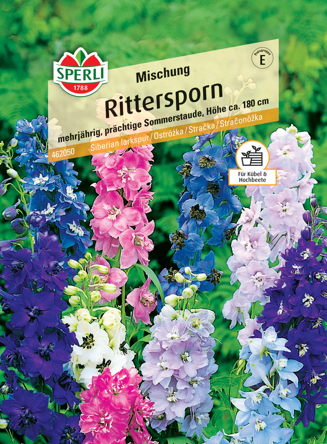 Sperli Rittersporn Mischung Sperli Rittersporn Mischung