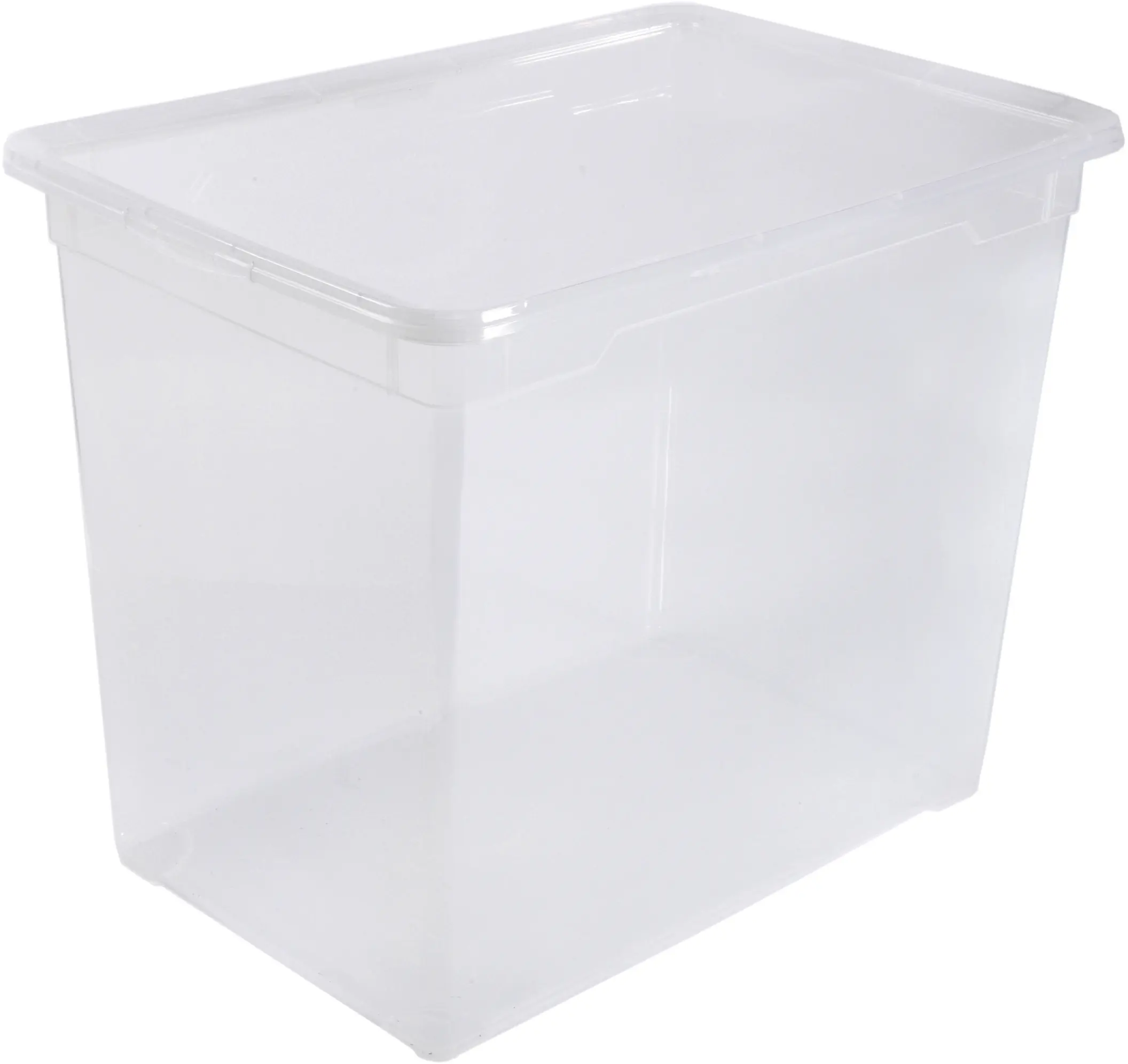 Rotho Aufbewahrungsbox Clear Mega inkl. Deckel 70 L transparent
