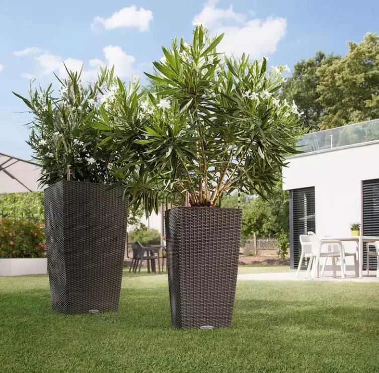 Lechuza Pflanzgefäß Cubico Cottage 40 lichtgrau Lechuza Pflanzgefäß Cubico Cottage 40 lichtgrau