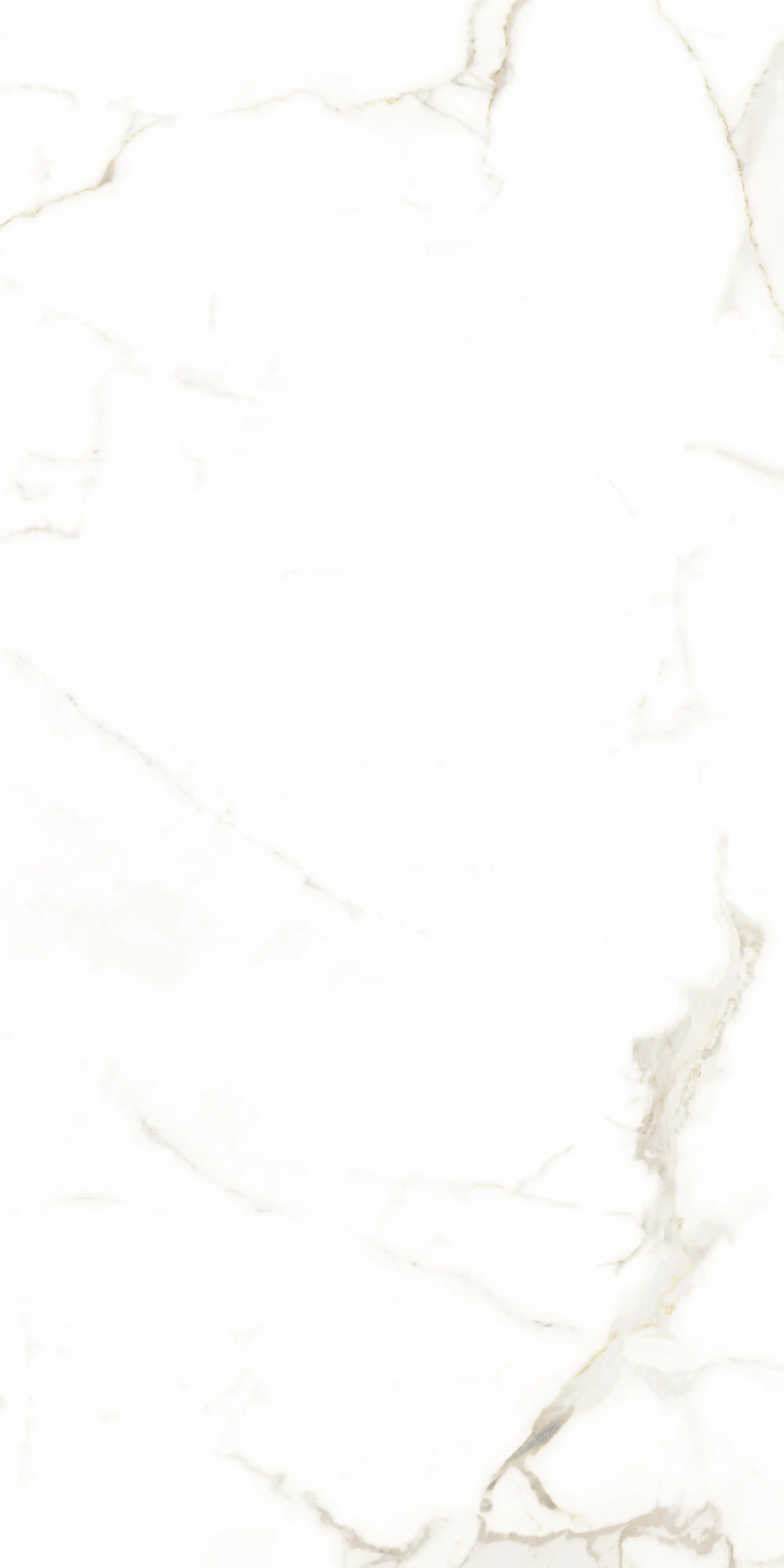 Bodenfliese Feinsteinzeug Alcora 60 x 60 cm weiß/gold