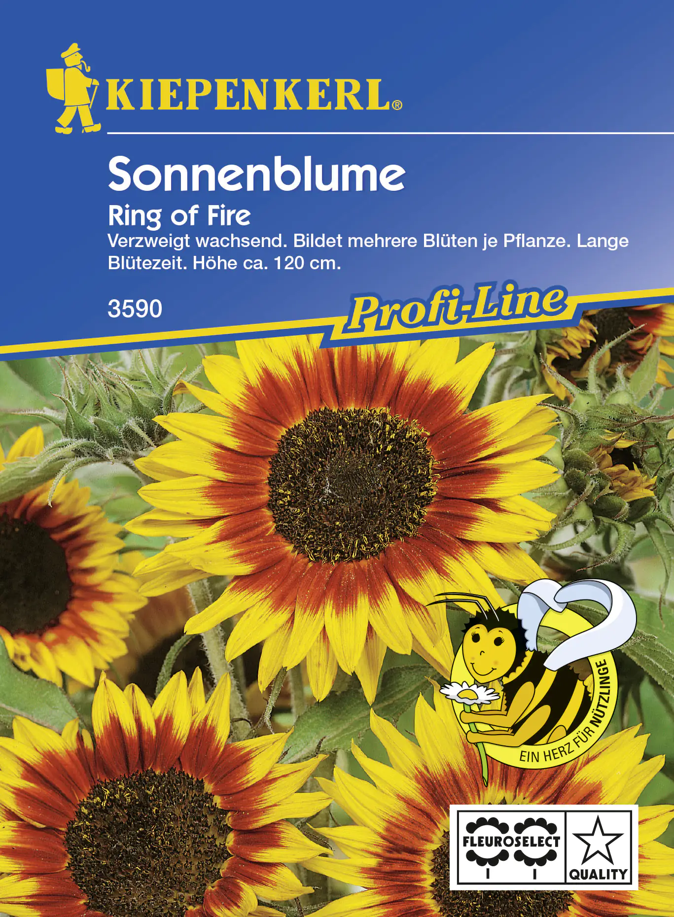 Kiepenkerl Helianthus Rinf of Fire Helianthus annuus, Inhalt: ca. 20 Pflanzen