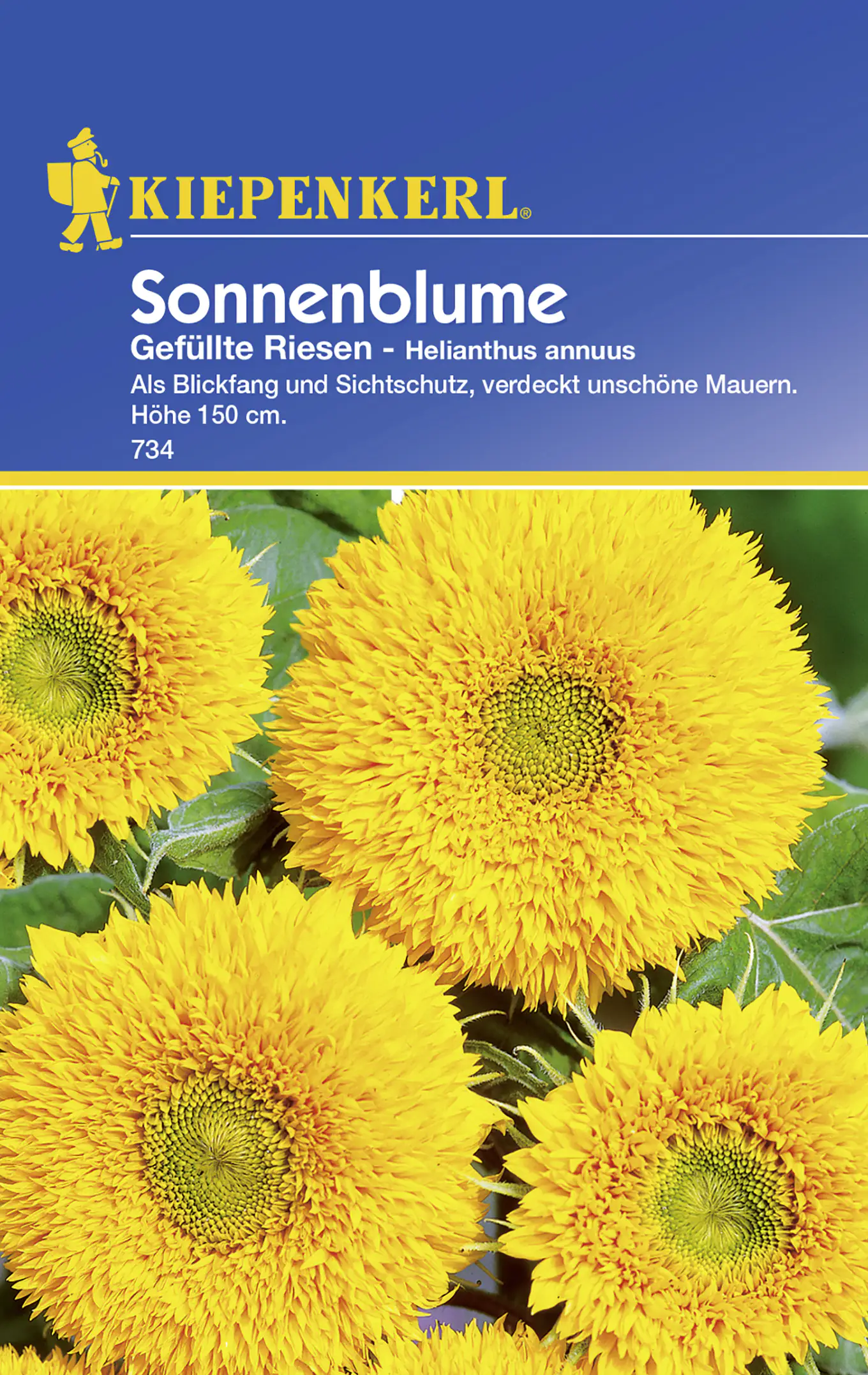 Kiepenkerl Sonnenblume Gefüllte Riesen Helianthus annuus, Inhalt: ca. 25 Pflanzen