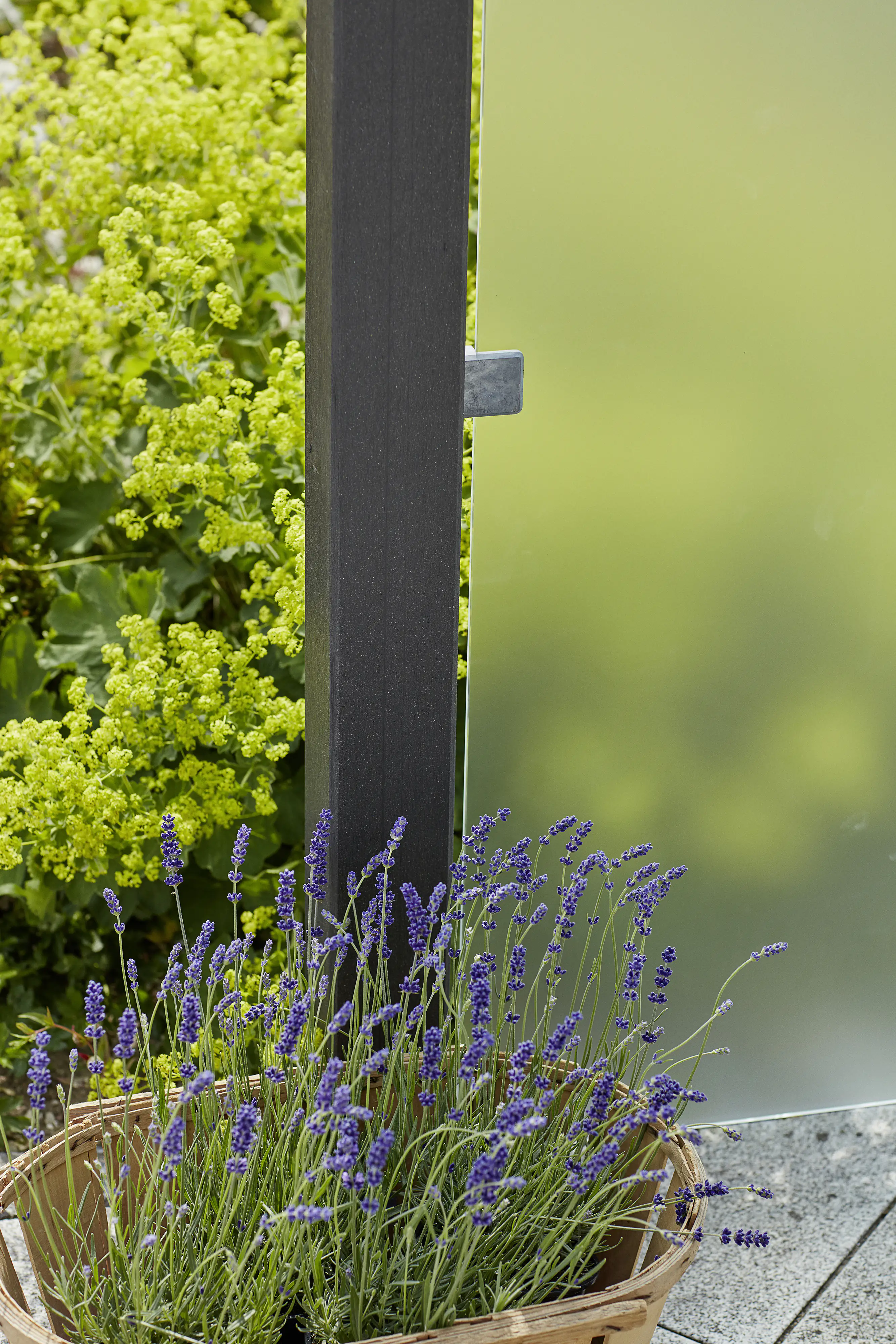 Plus Glaszaun 90 x 127 cm mattes Glas gehärtetes 6 mm Glas