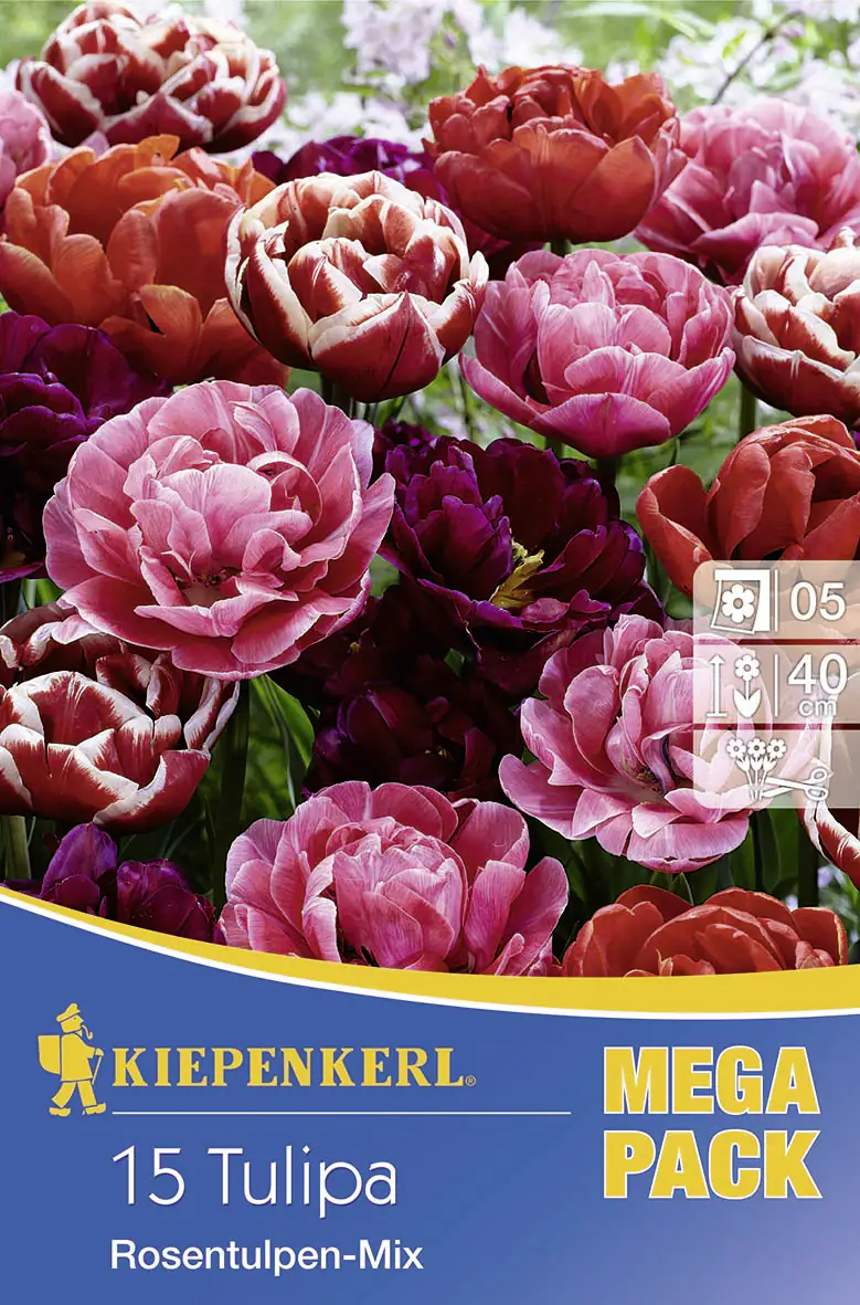 Kiepenkerl Mega-Pack Gefüllte späte Tulpen Rosentulpen-Mischung Tulipa x Hybrida Kiepenkerl Mega-Pack Gefüllte späte Tulpen Rosentulpen-Mischung Tulipa x Hybrida
