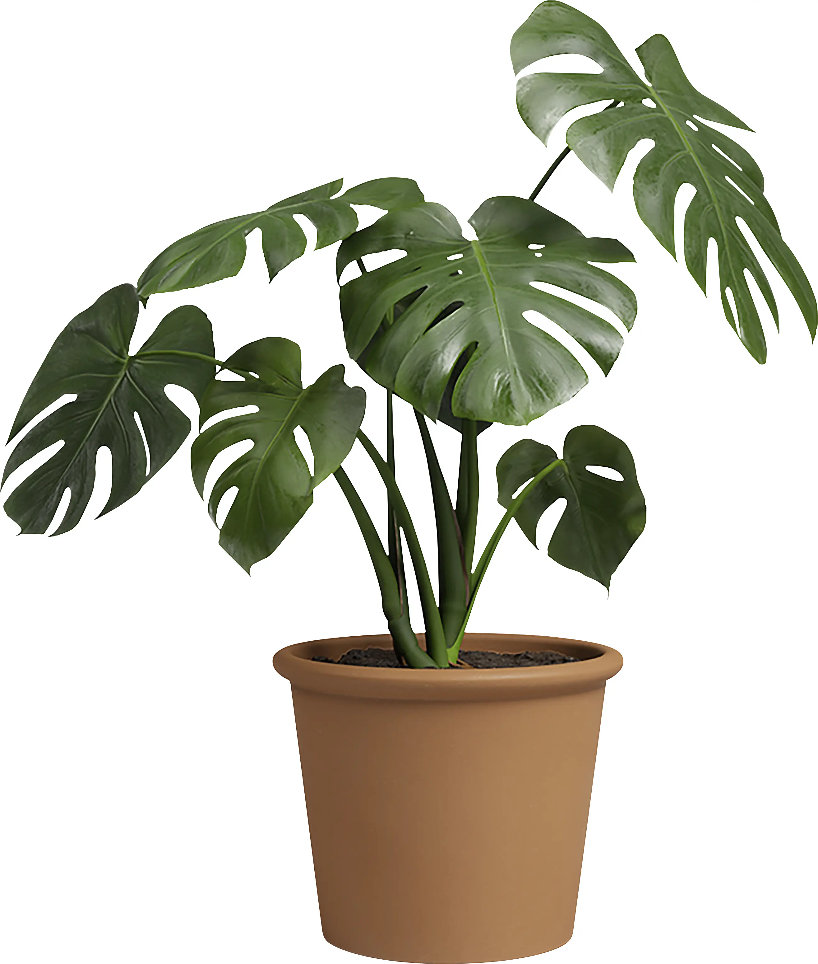 Artevasi Pflanztopf Saramago Cilindro Terrakotta tonrot Ø 39 x 32 cm