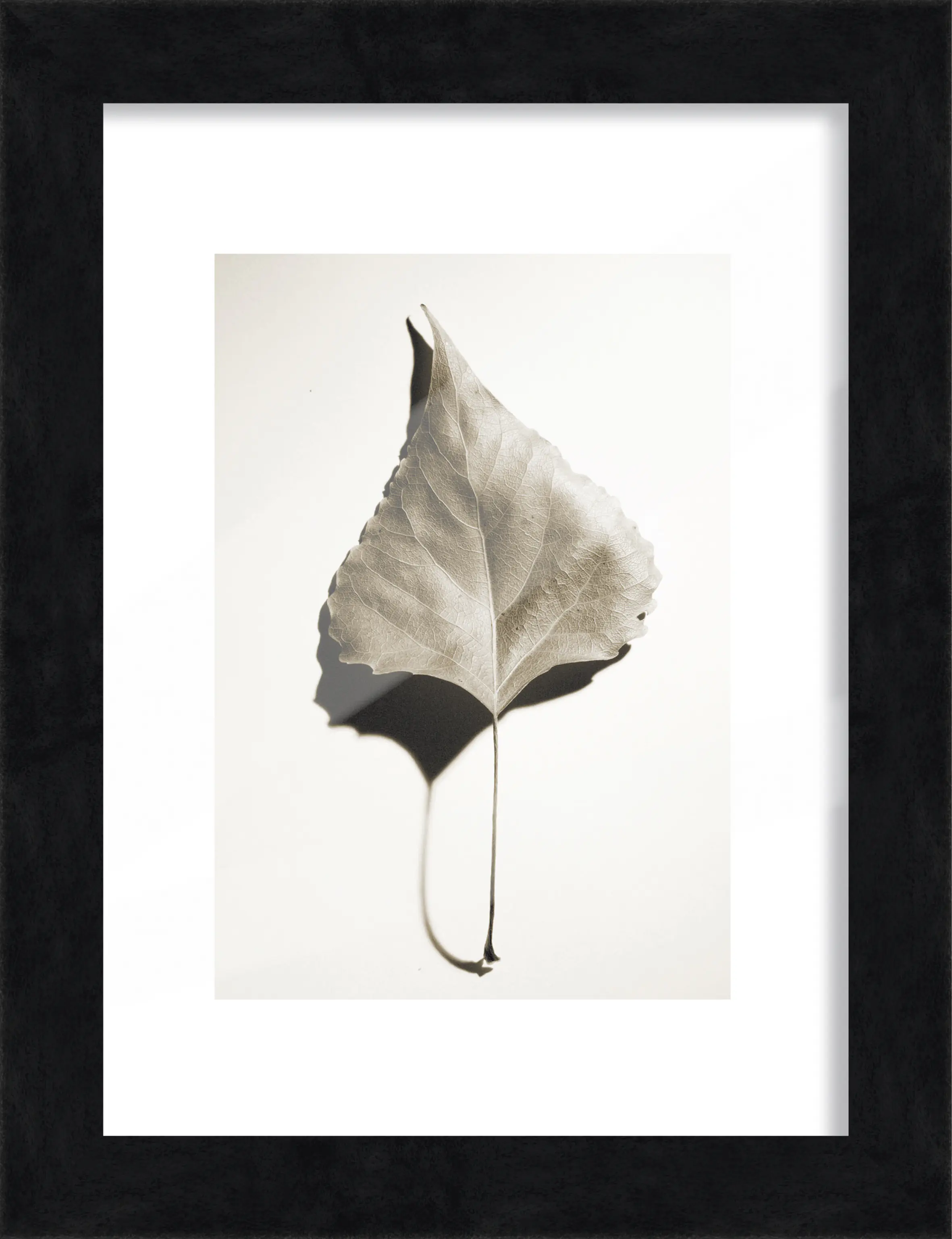 Bilderrahmen Holz Luzern schwarz 13 x 18 cm